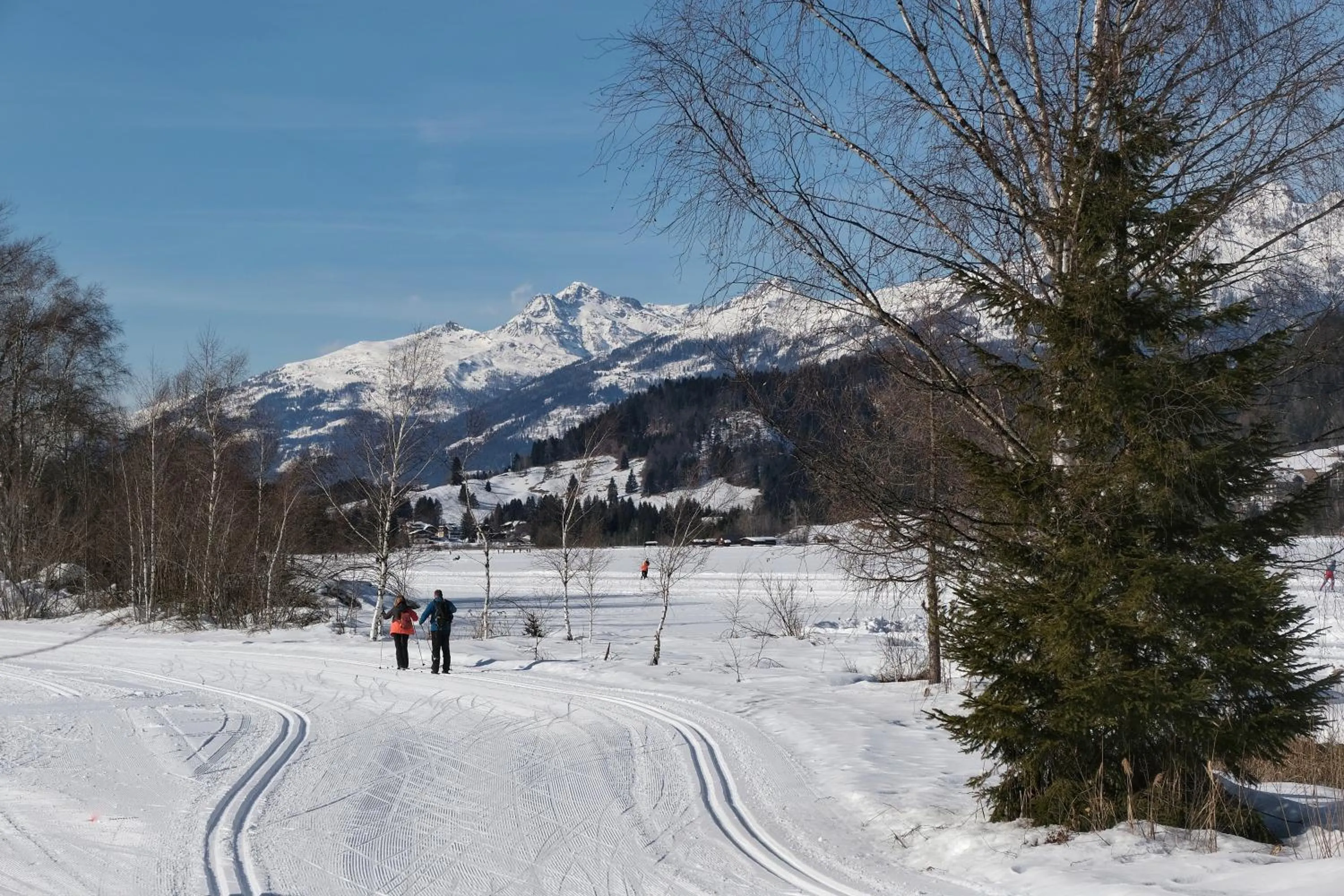 Natural landscape in SeeHotel & SeeApartments Kärntnerhof- direkt am See!