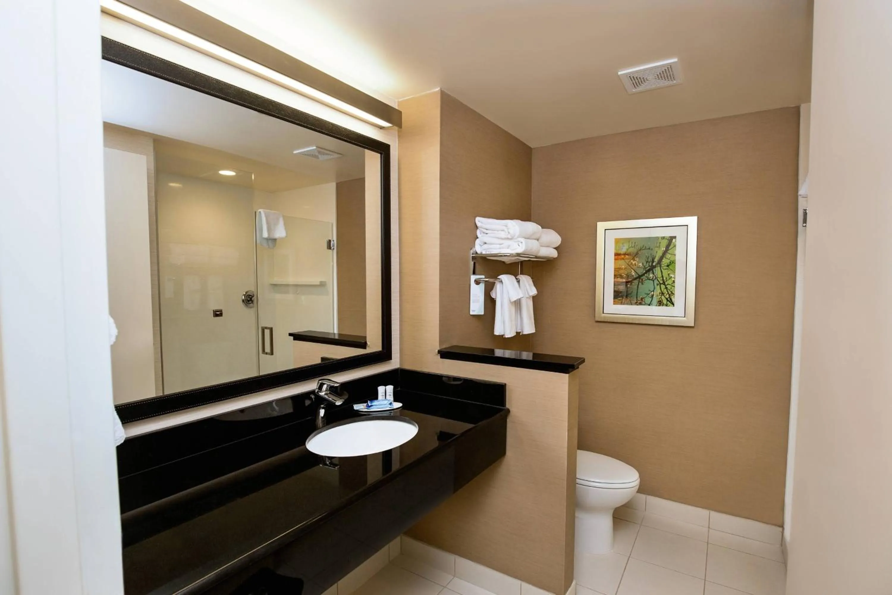 Bathroom in Fairfield Inn & Suites by Marriott Richmond Midlothian