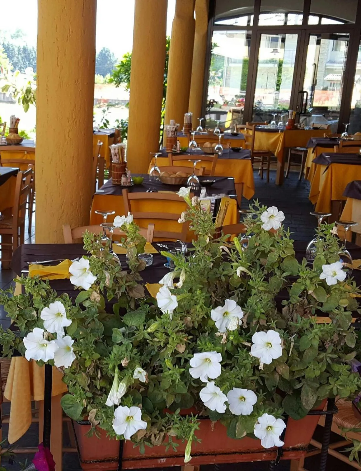 Restaurant/places to eat in Hotel Franini