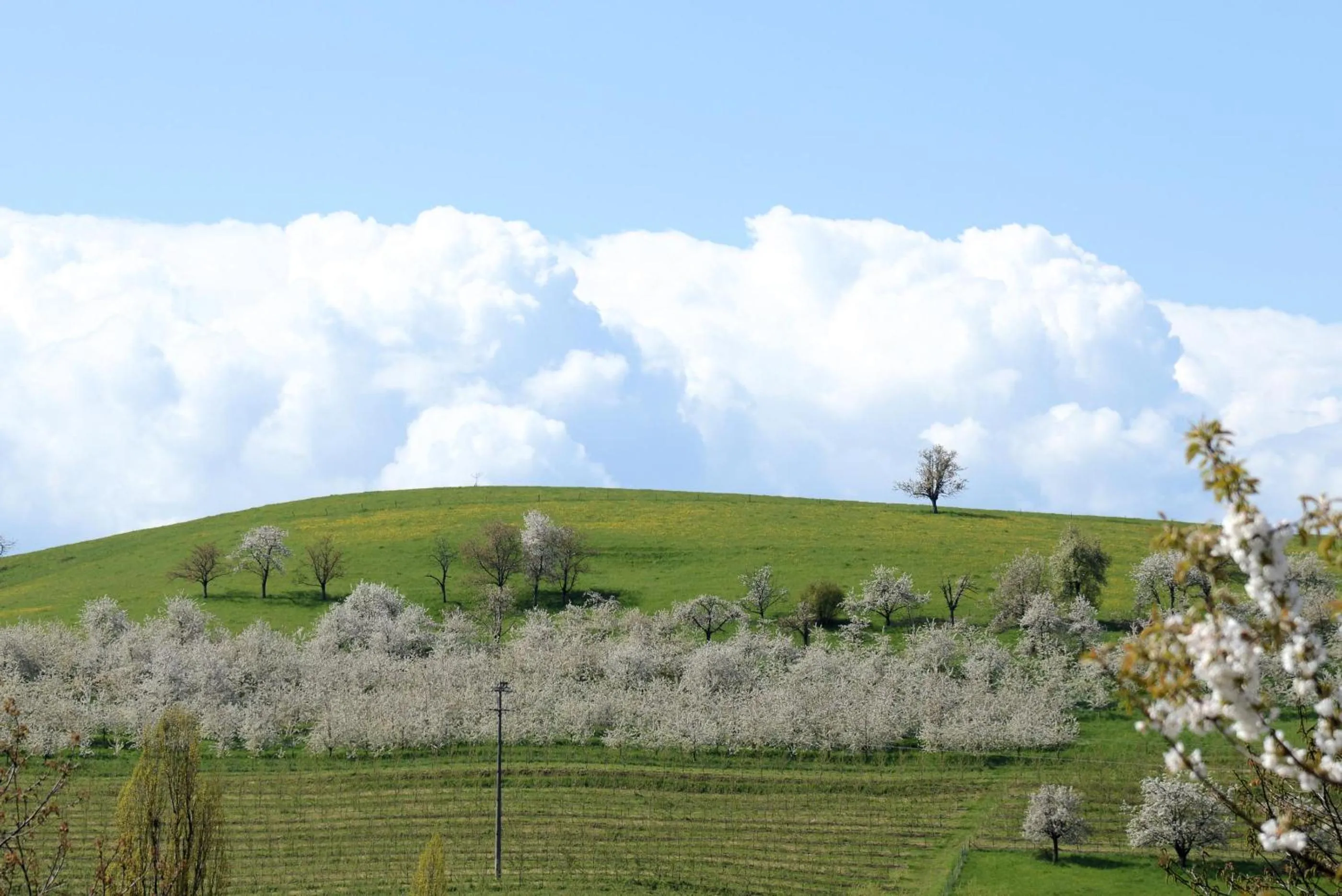 Natural landscape in Am Paradies