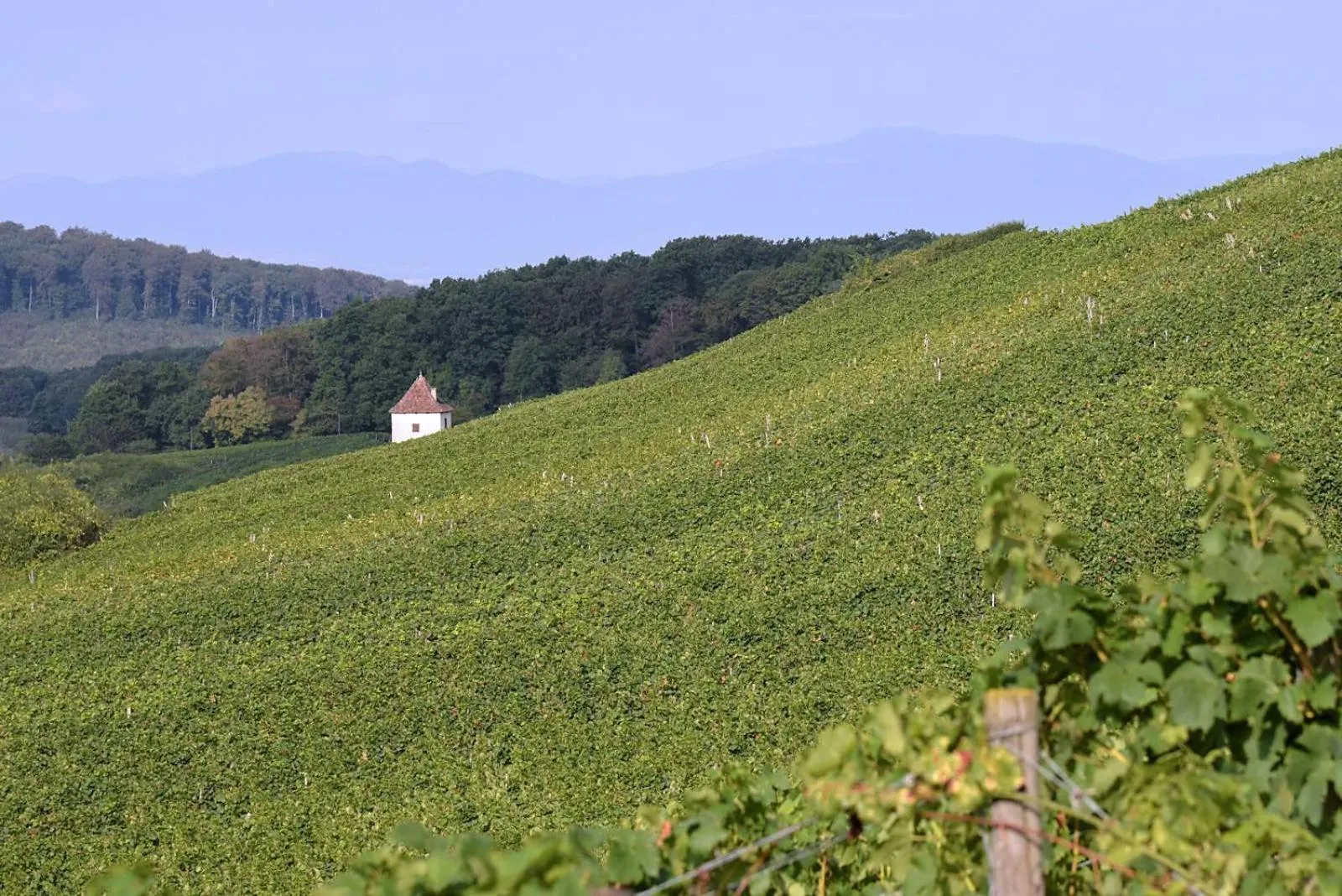 Natural landscape in Am Paradies