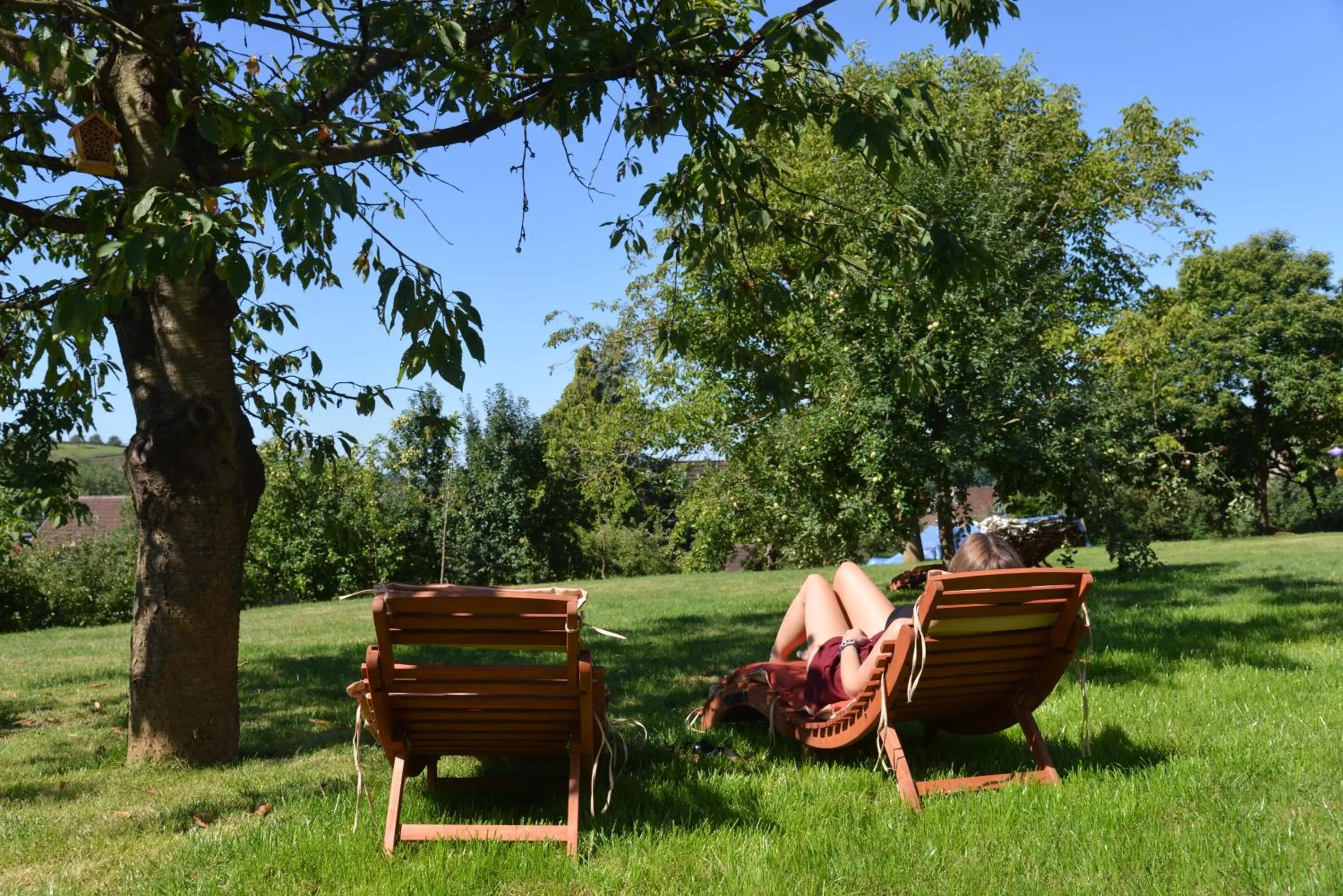 Garden in Am Paradies