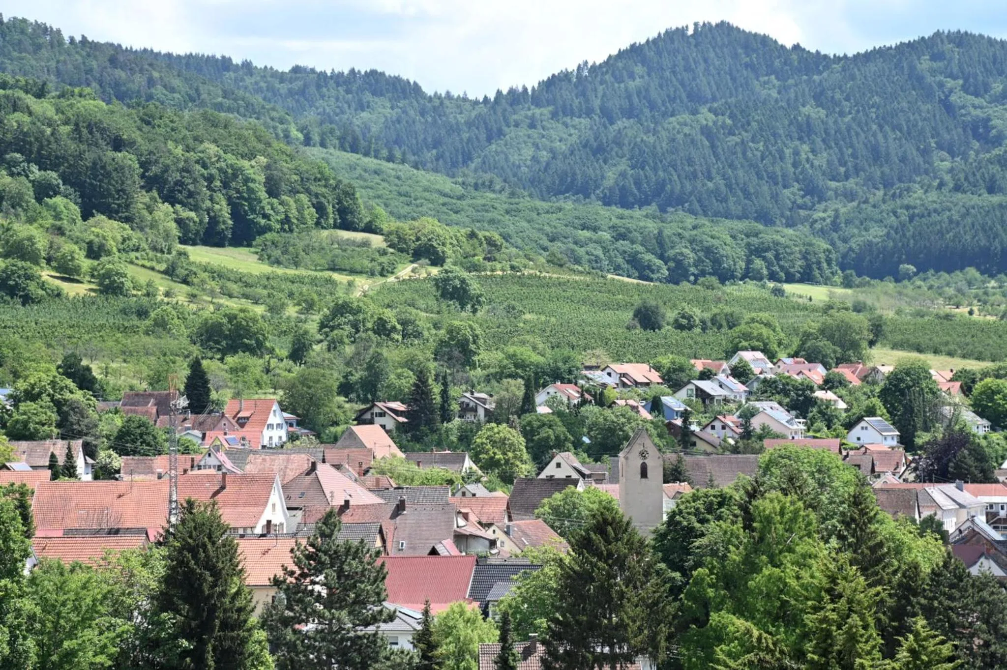 Natural landscape in Am Paradies