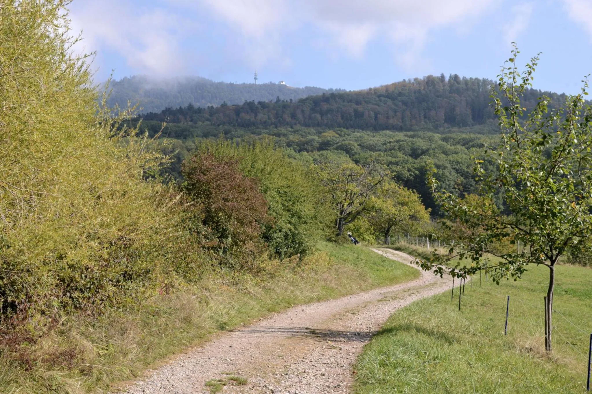 Natural landscape in Am Paradies