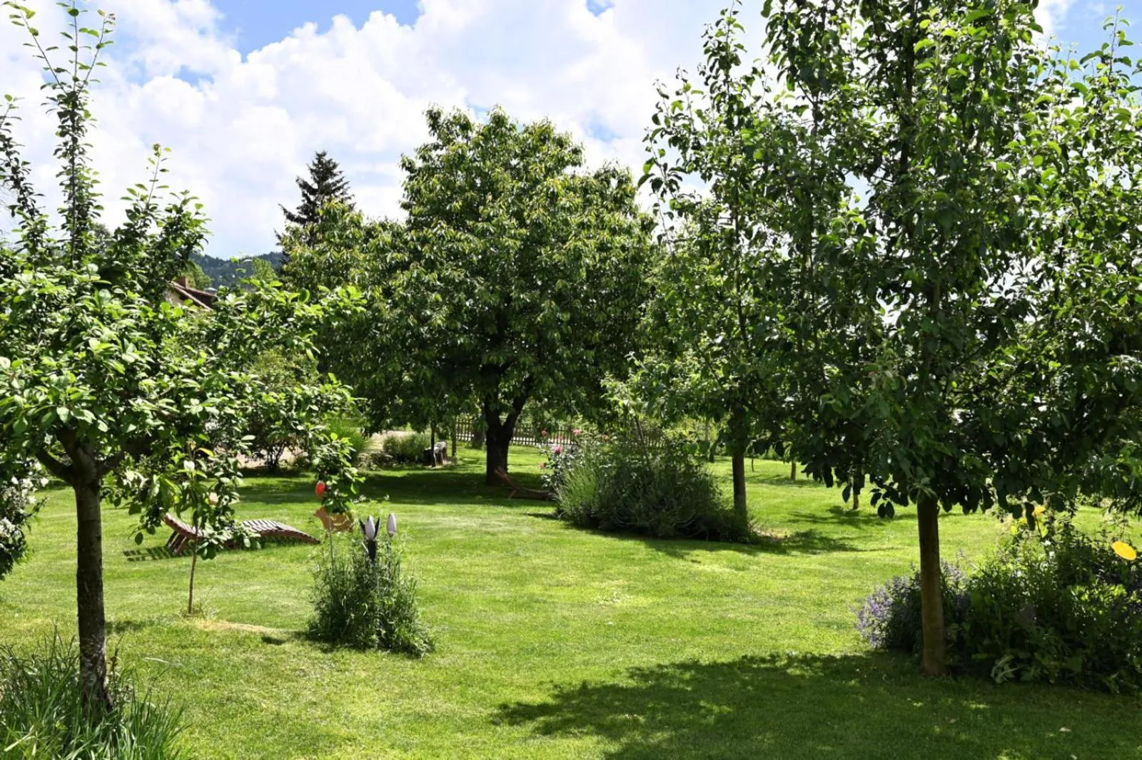 Garden view in Am Paradies