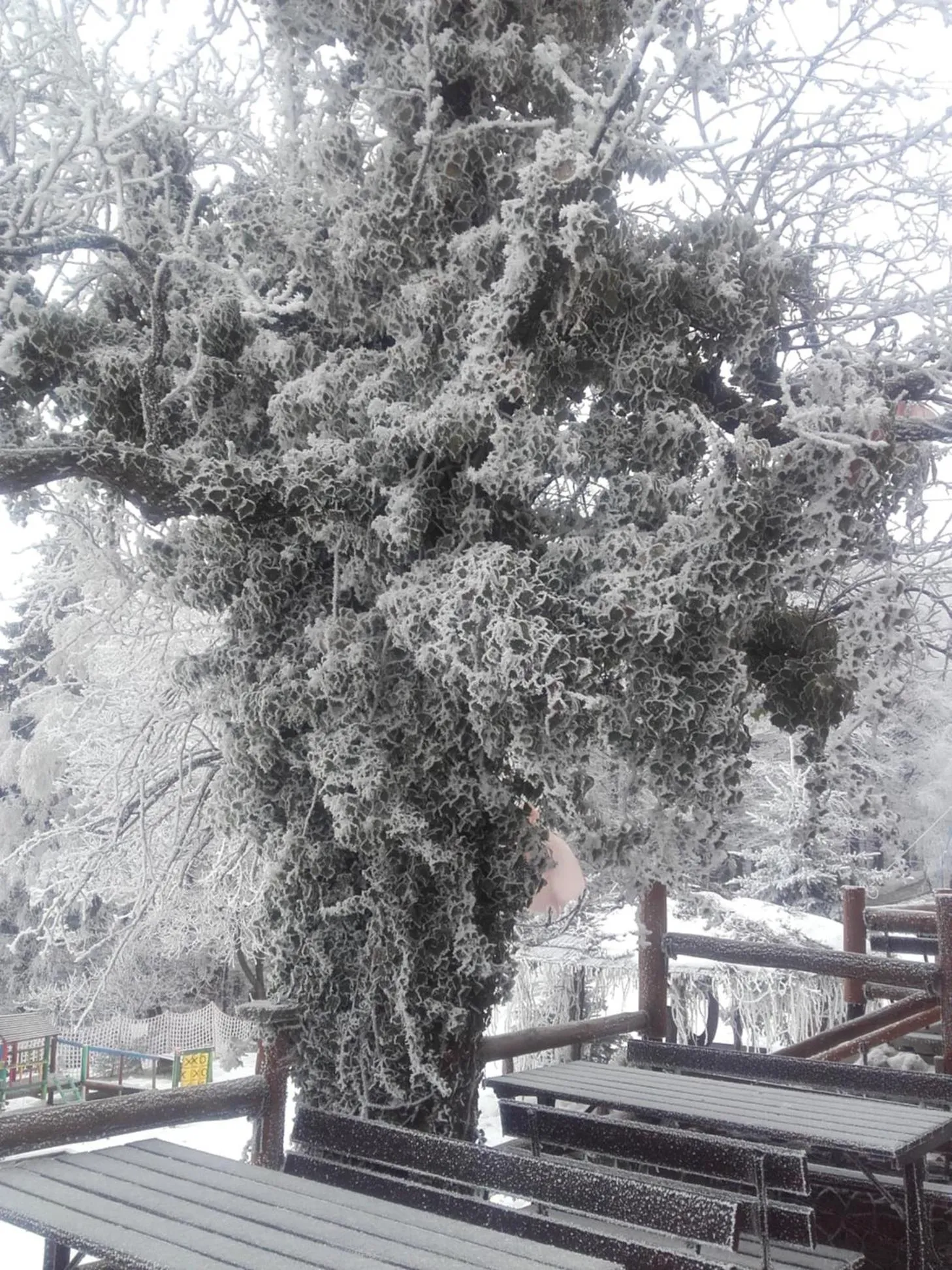 Winter in Chata na Groniu
