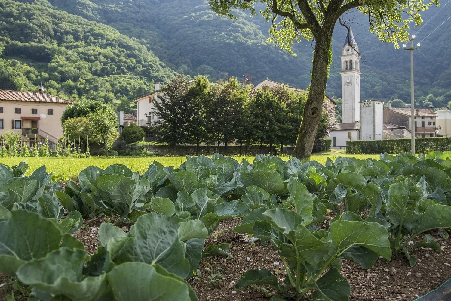 Garden view in Locanda Solagna