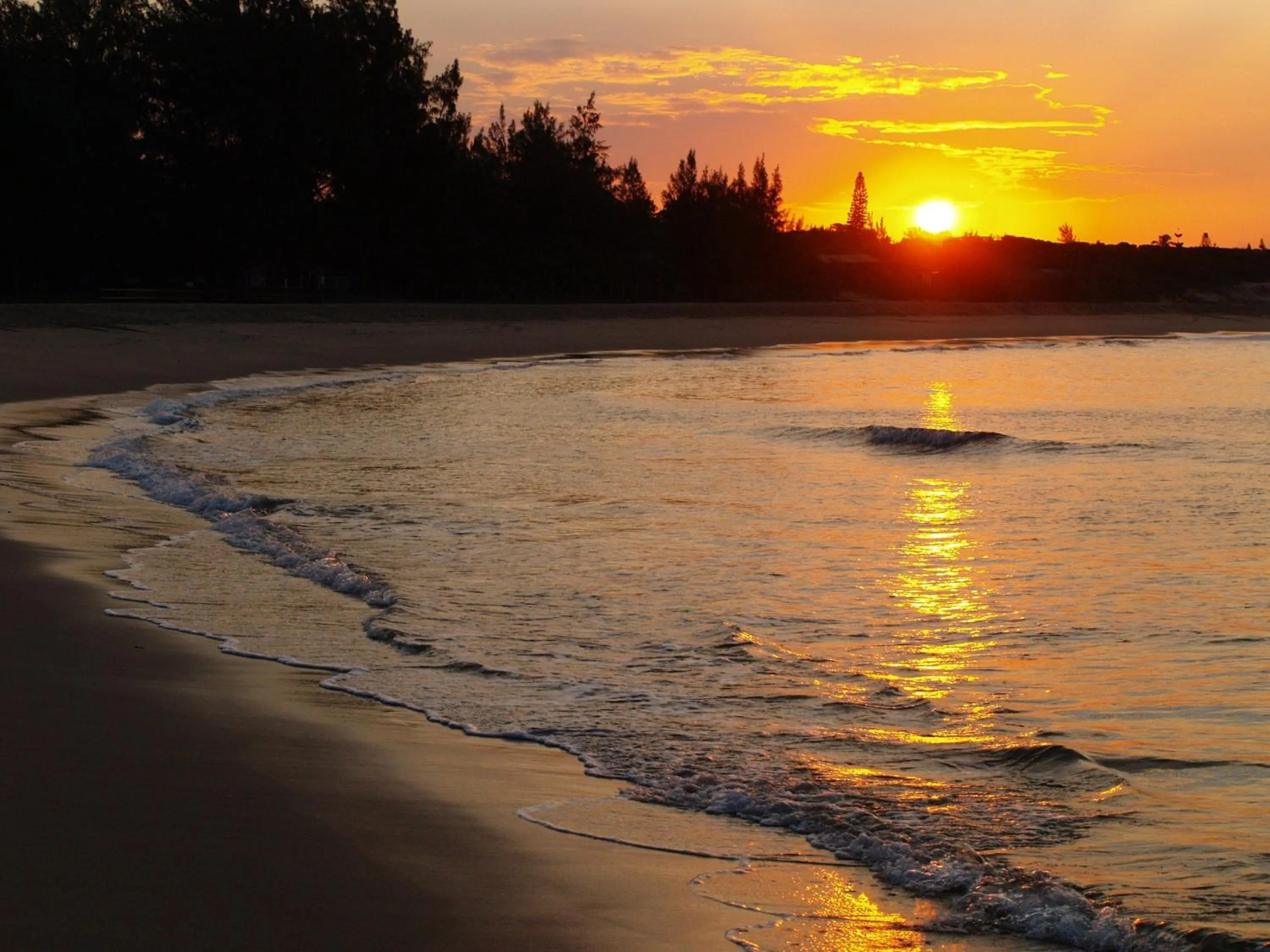 Beach in Gala Gala Eco Resort