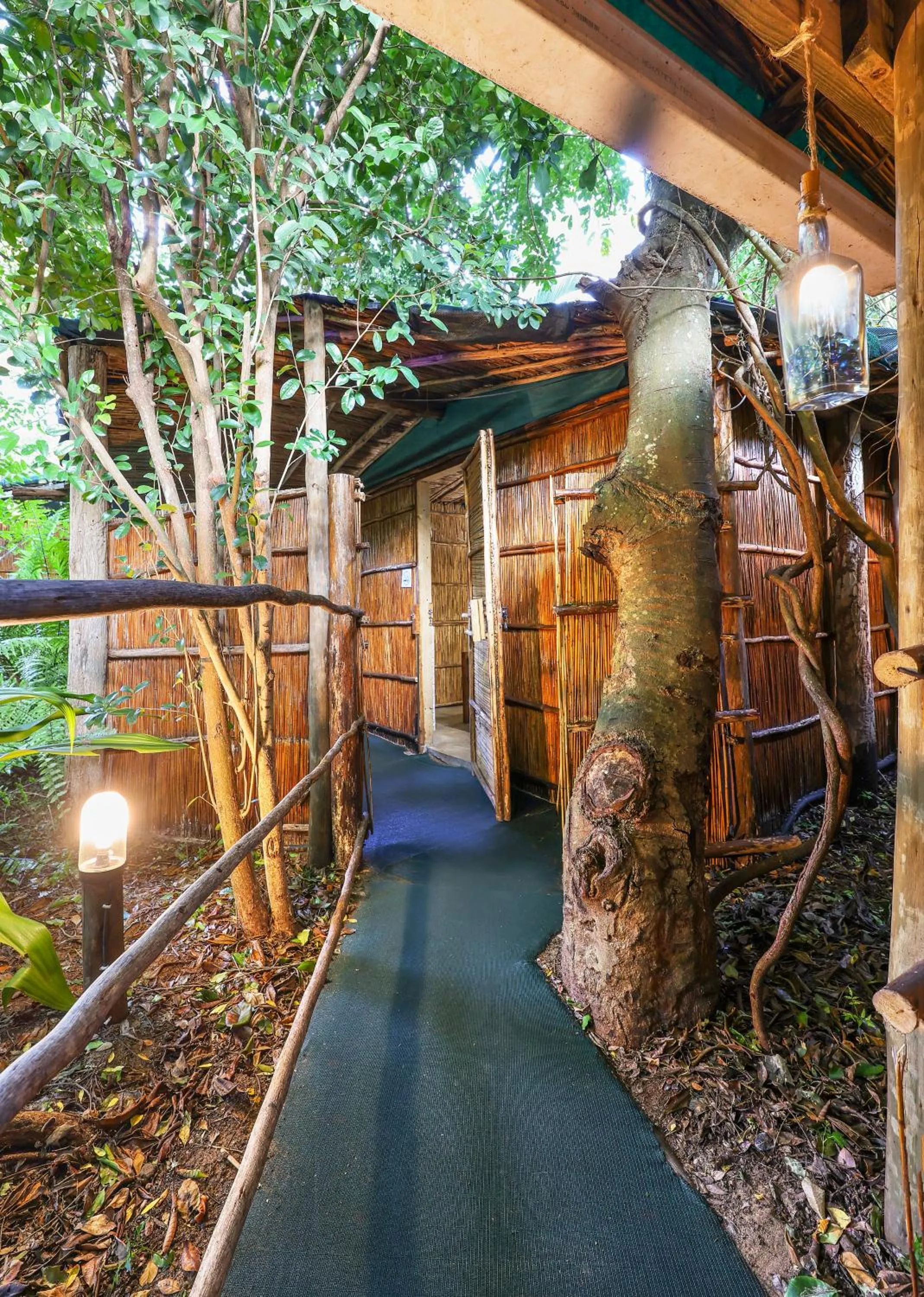 Garden view in Gala Gala Eco Resort