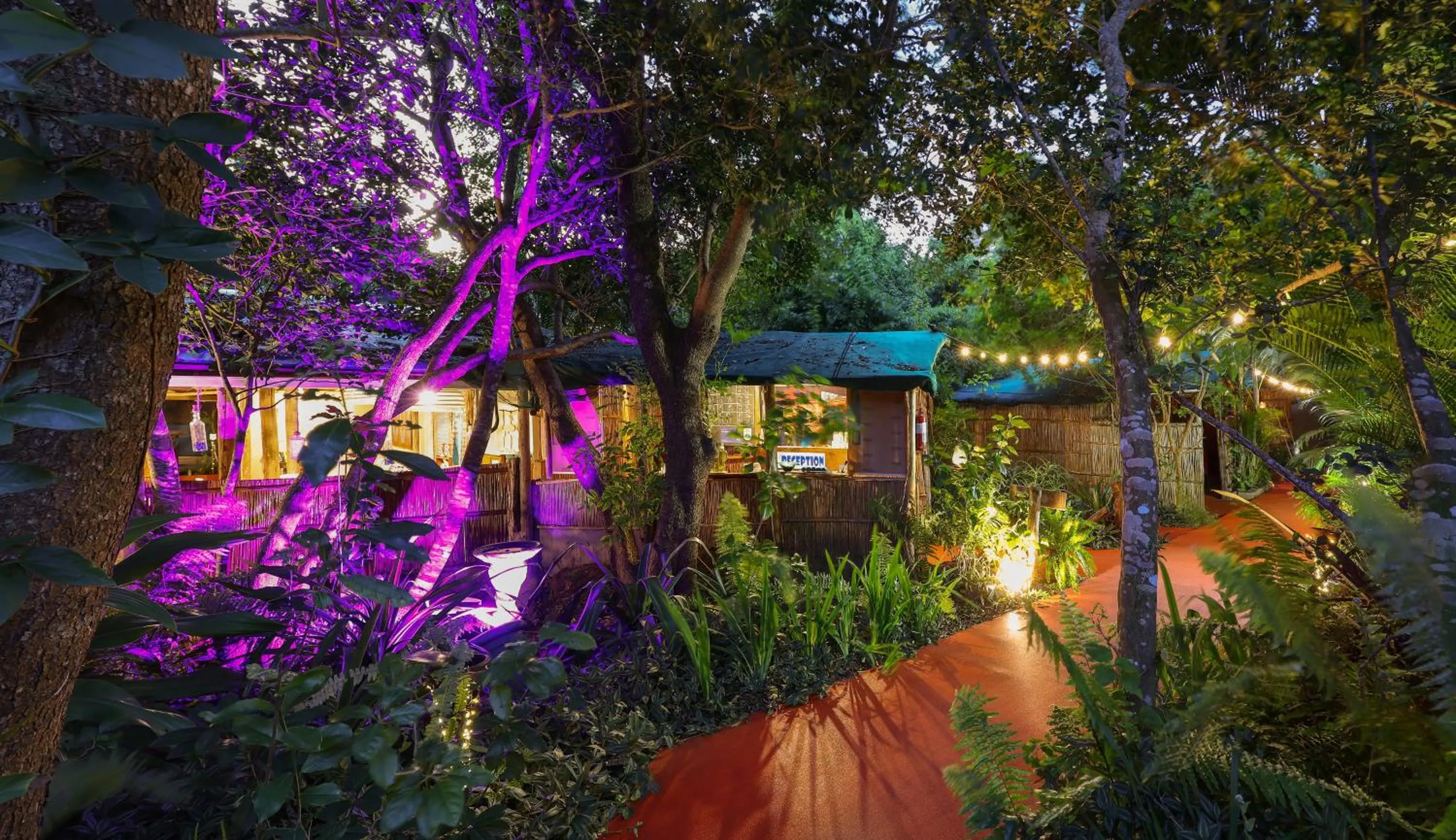 View (from property/room) in Gala Gala Eco Resort