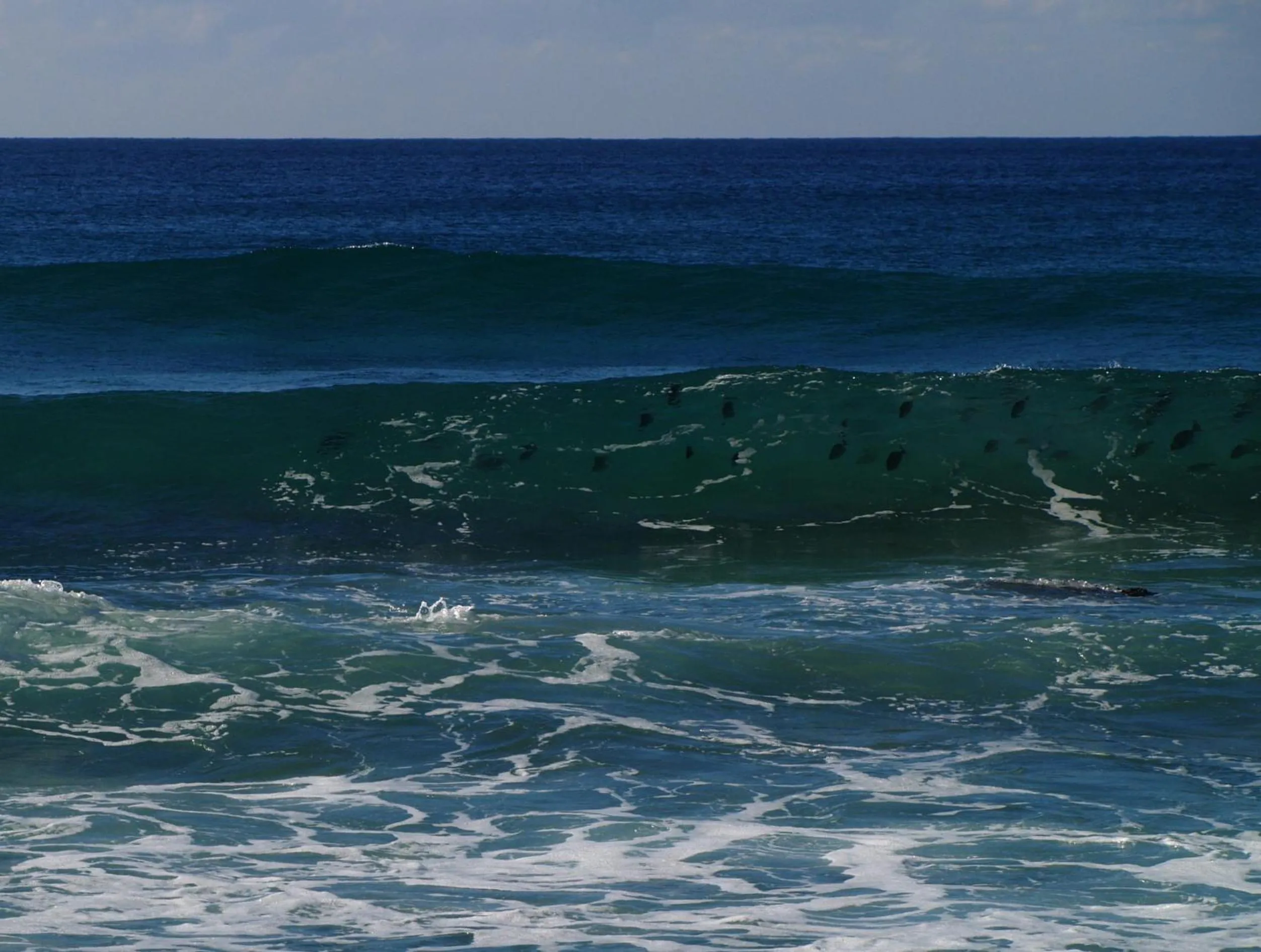 Beach in Gala Gala Eco Resort