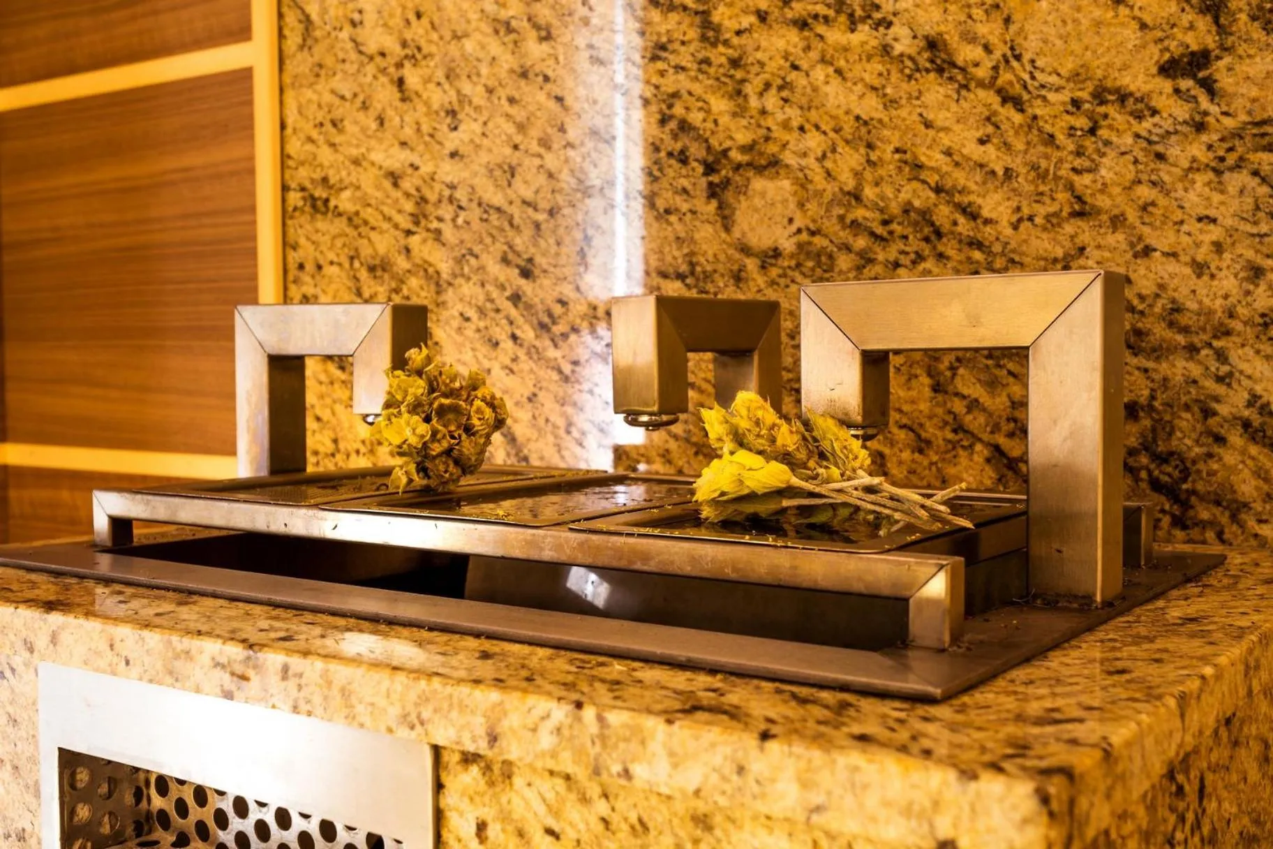 Sauna in Hotel Orlovetz