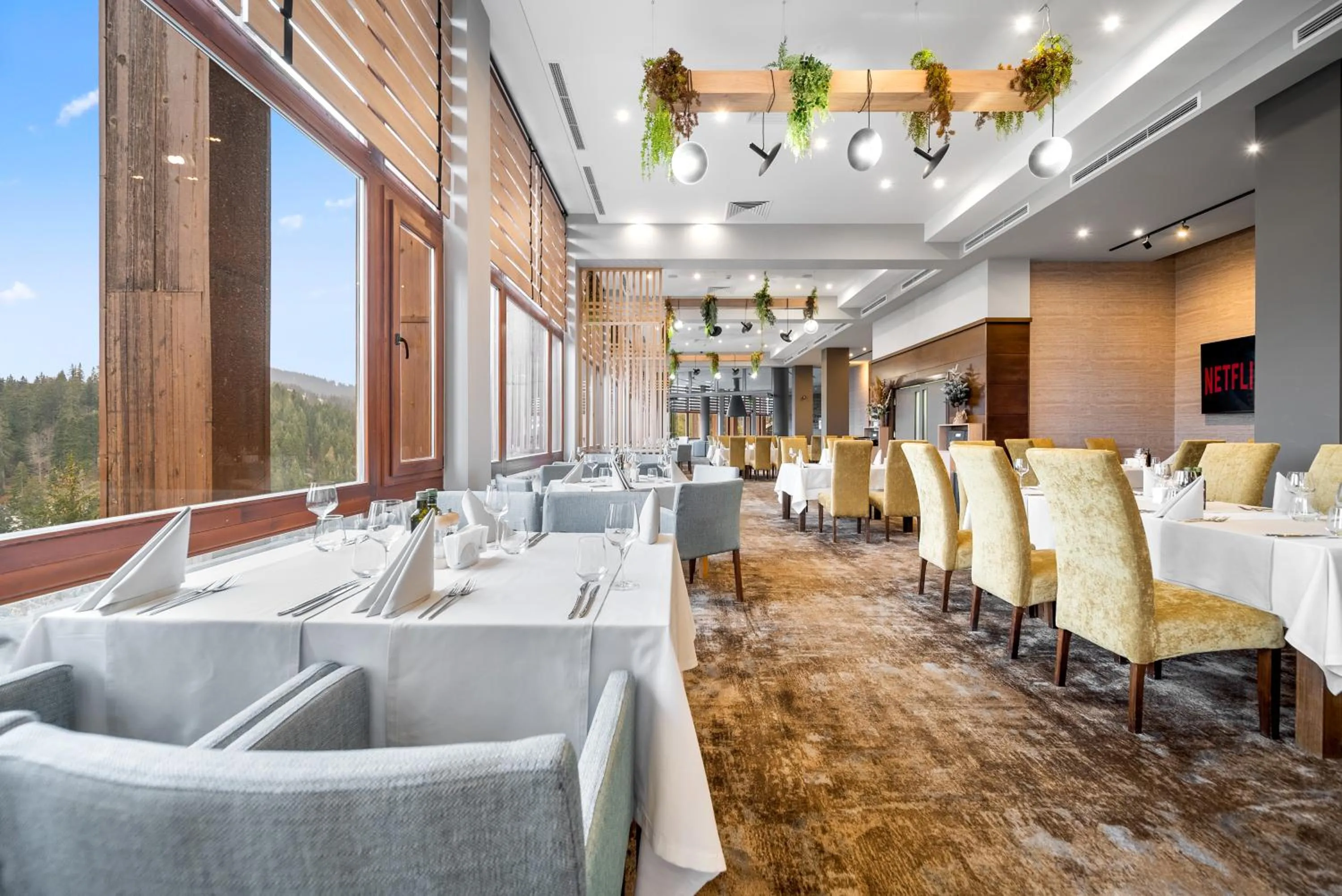 Restaurant/places to eat in Hotel Orlovetz