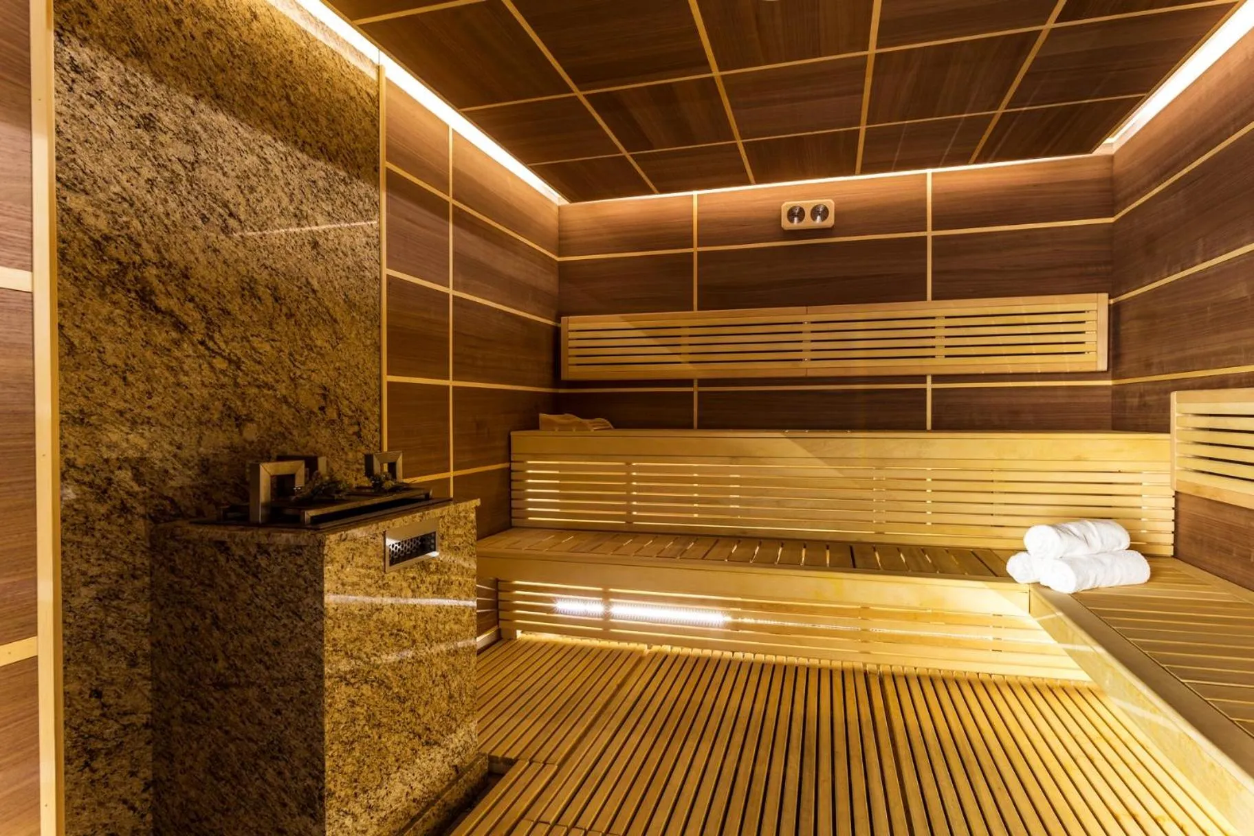 Sauna in Hotel Orlovetz
