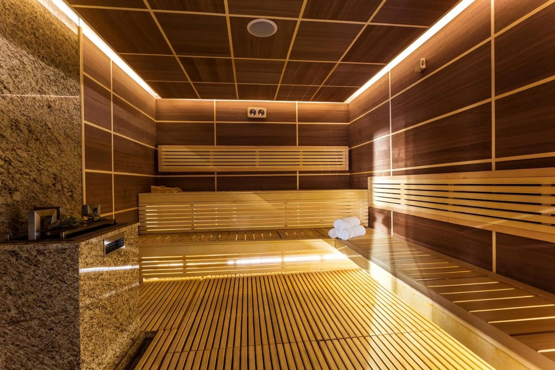 Sauna in Hotel Orlovetz