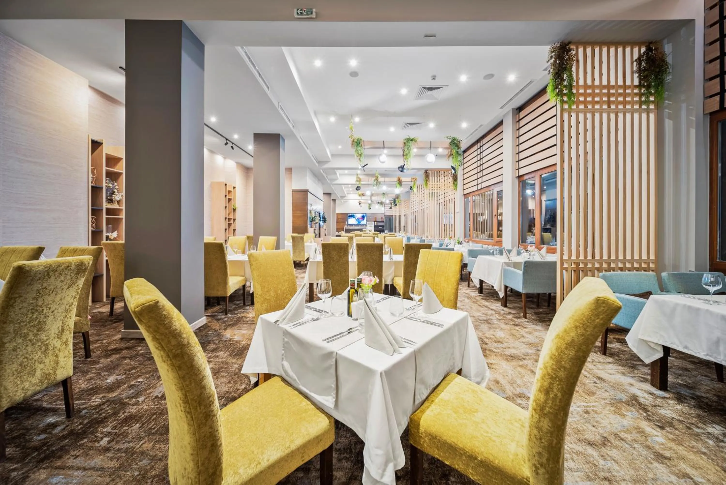 Restaurant/places to eat in Hotel Orlovetz