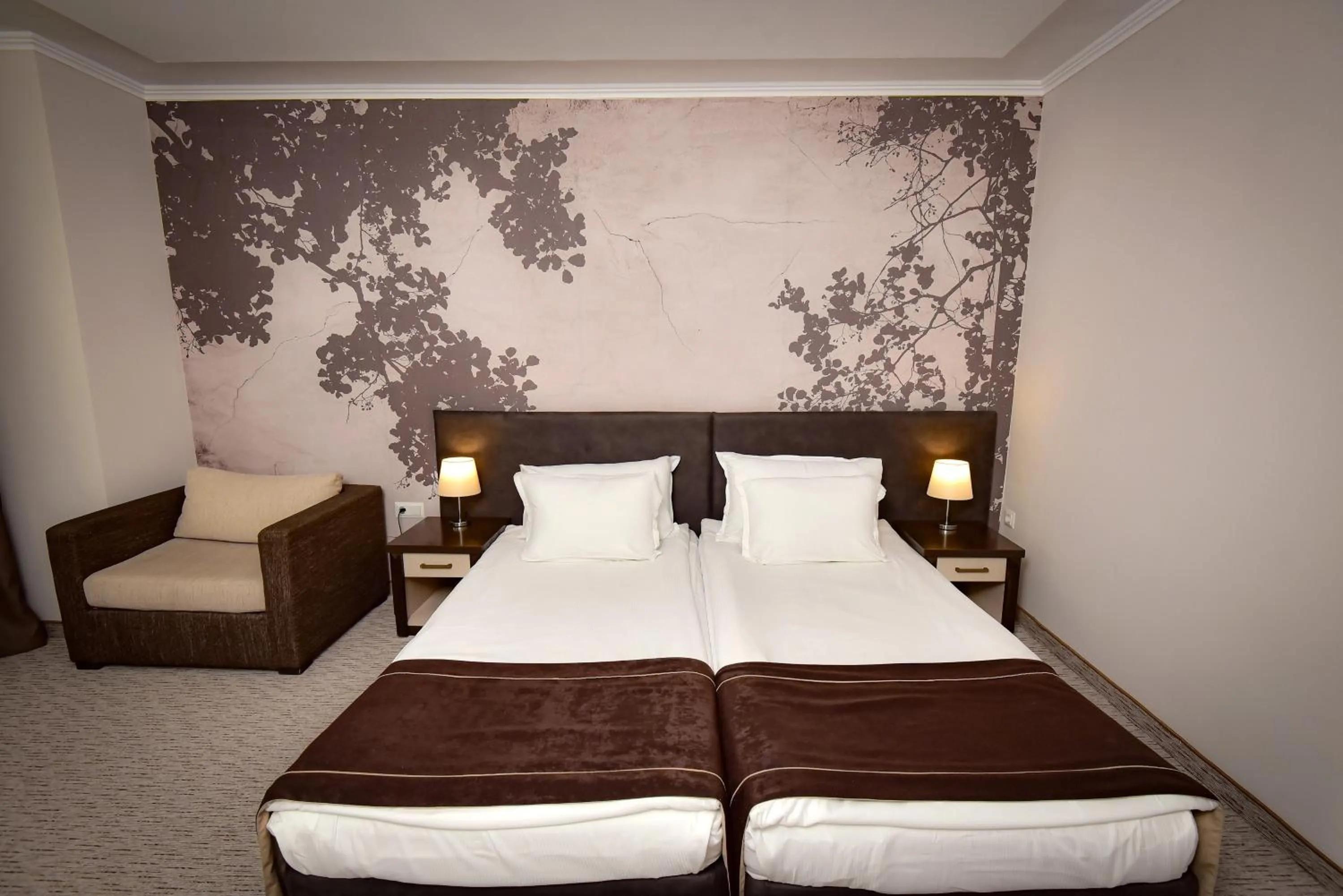 Bed in Rhodopi Home Hotel Chepelare- Half Board & Wellness