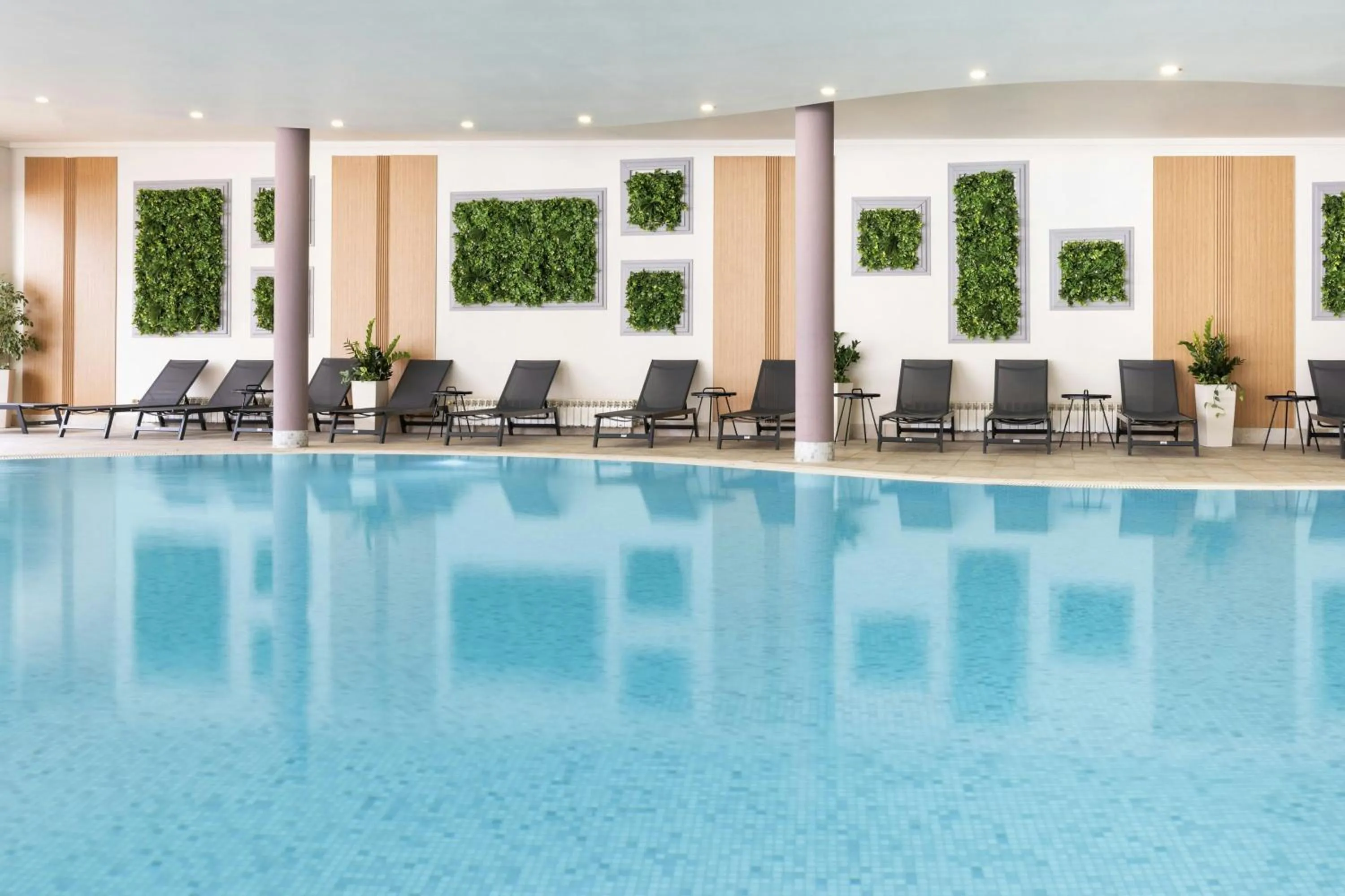 Swimming pool in Four Points by Sheraton Bansko