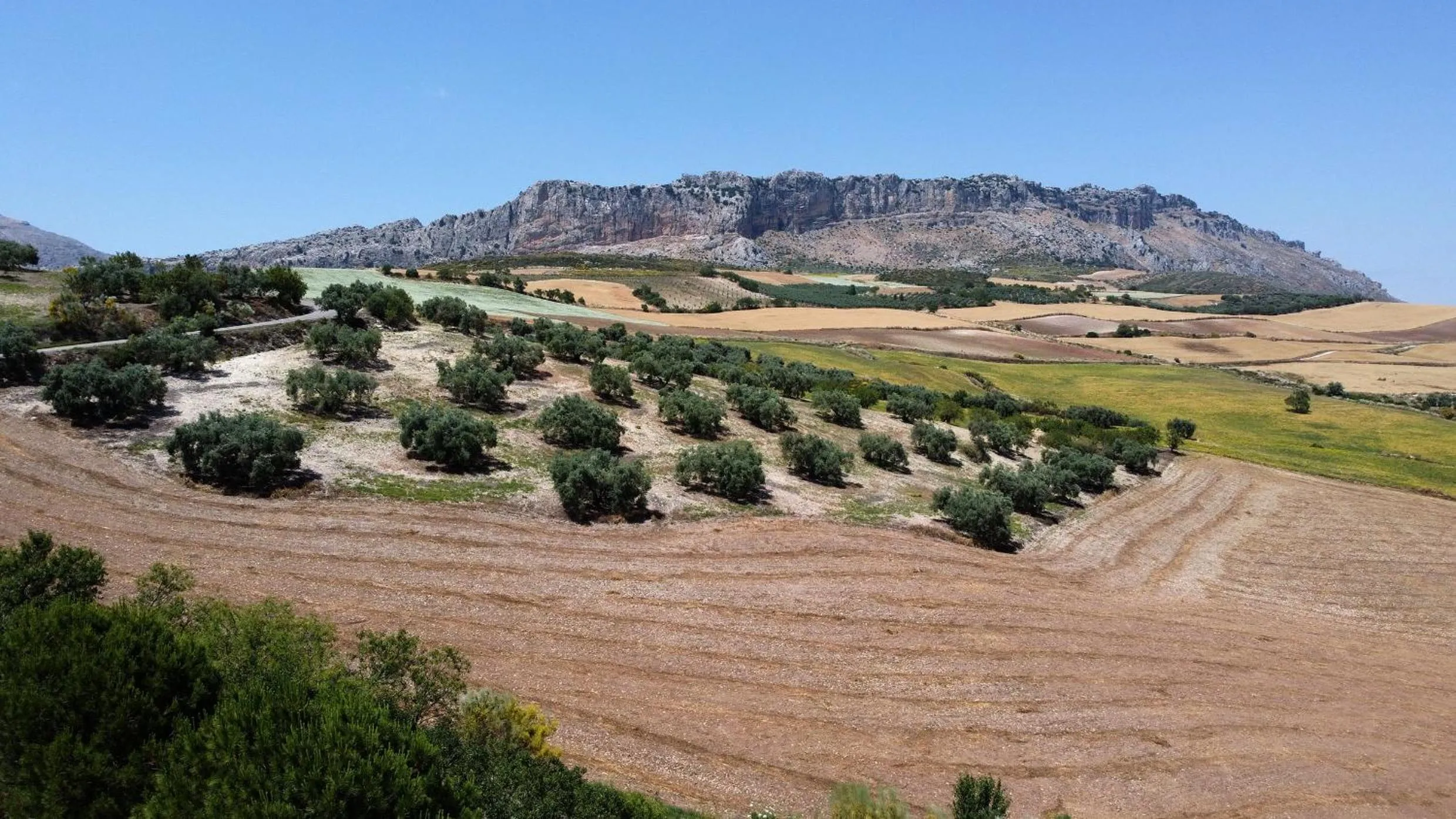 La Posada del Torcal