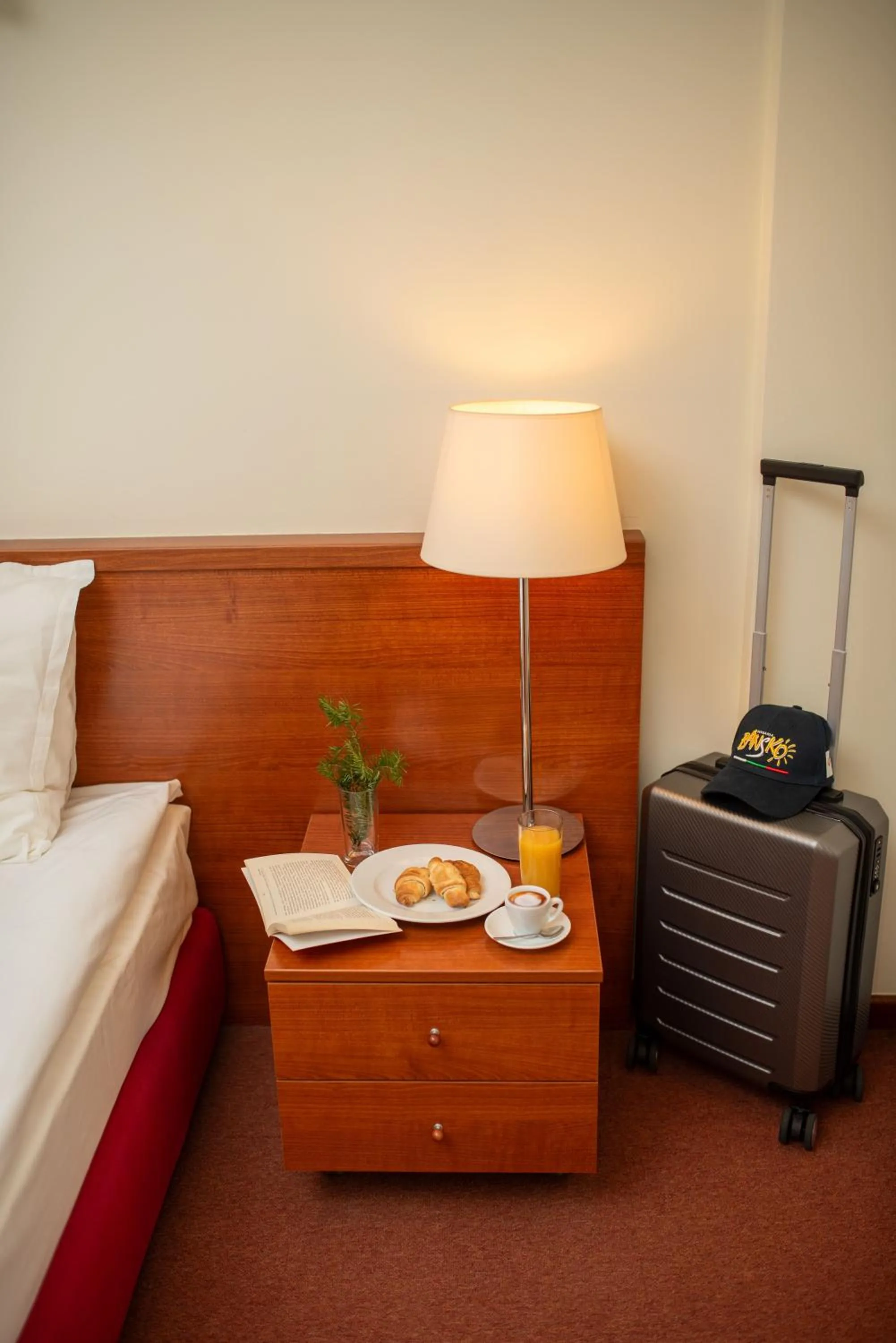 Property building in Hotel Pirin