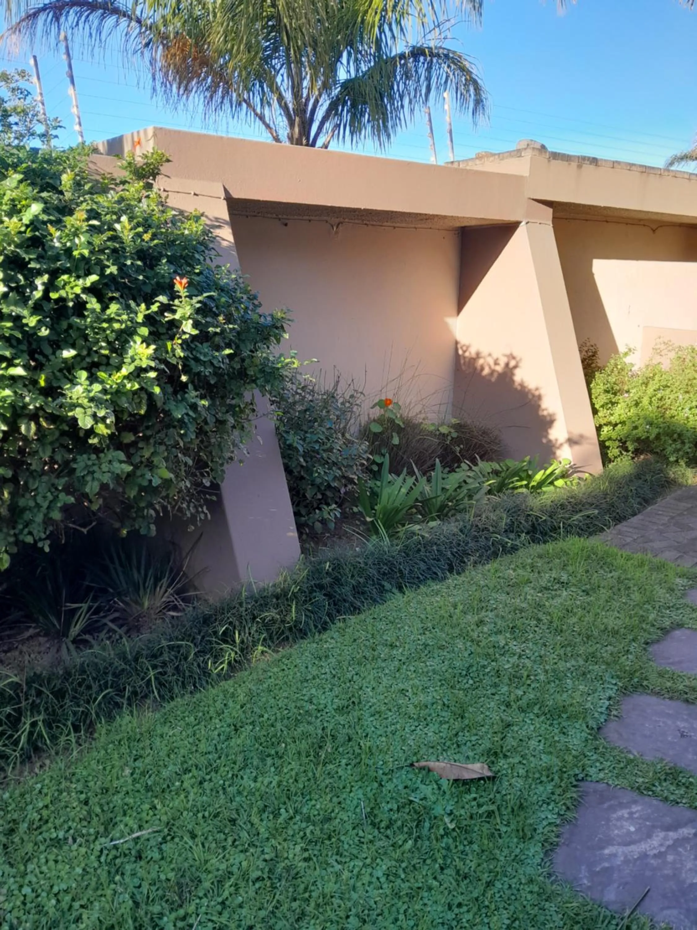 Garden in See More Guest House