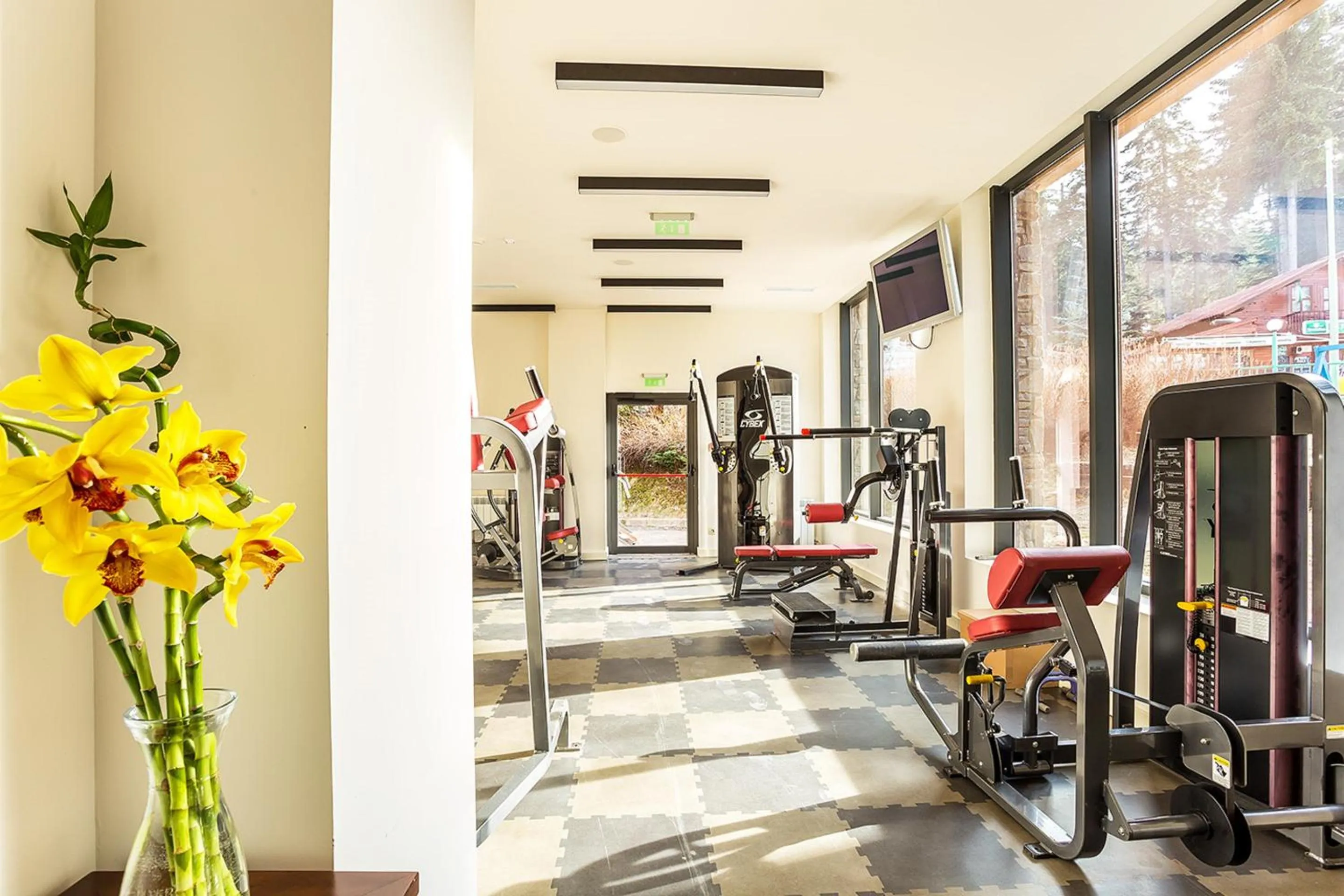 Fitness centre/facilities in Rila Hotel Borovets