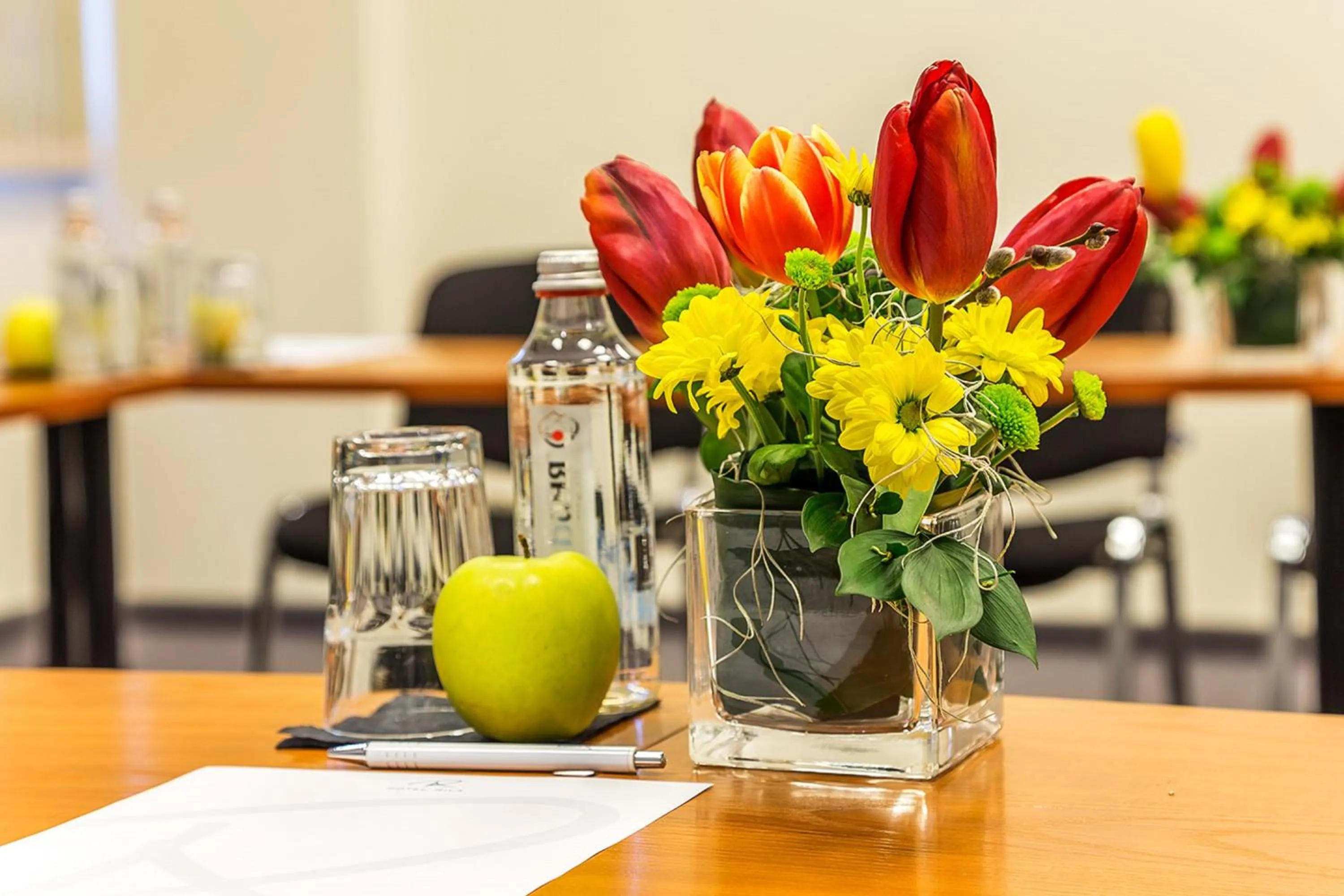 Business facilities in Rila Hotel Borovets