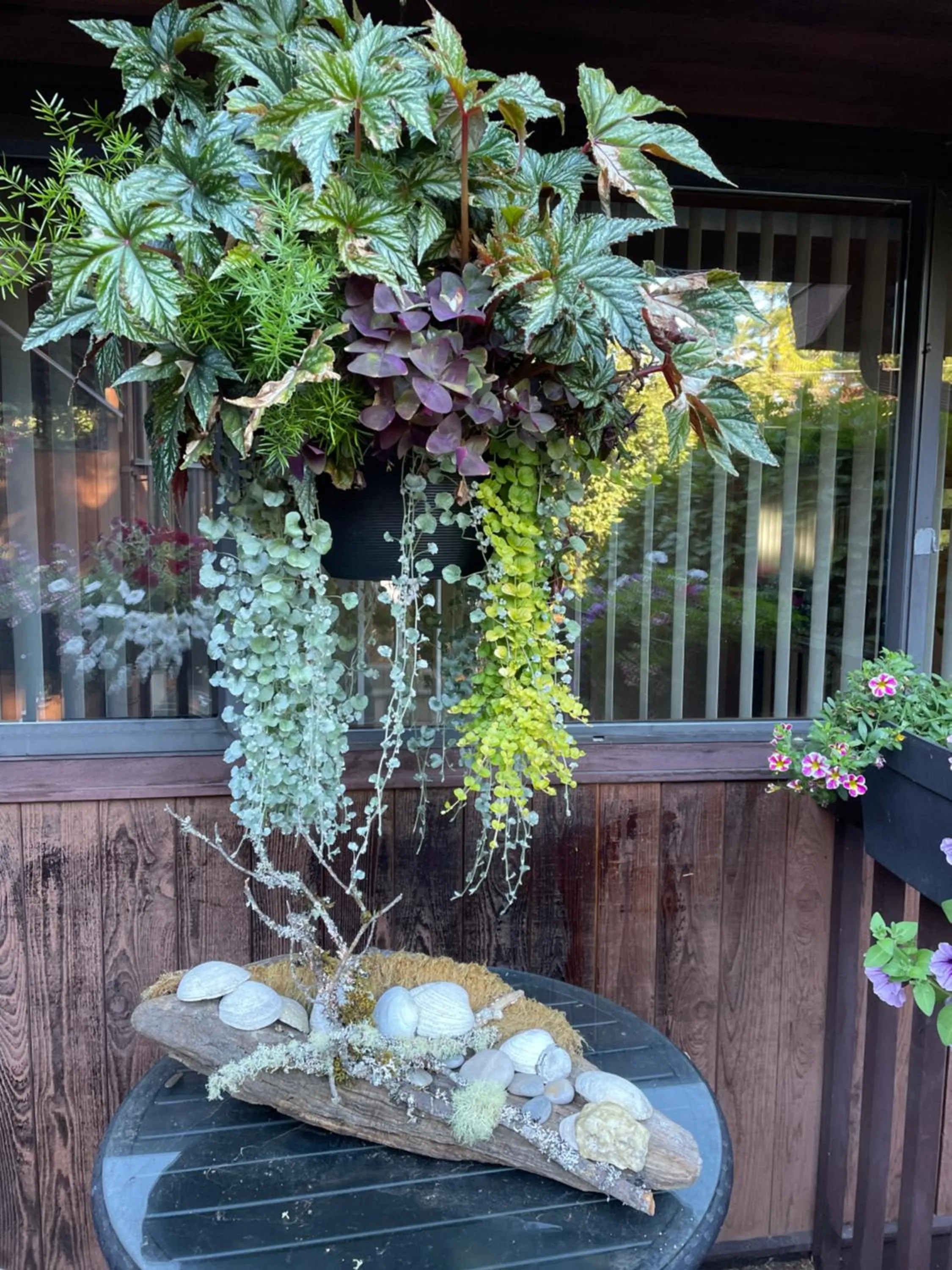 Garden in Coles Bay Vacation Retreat