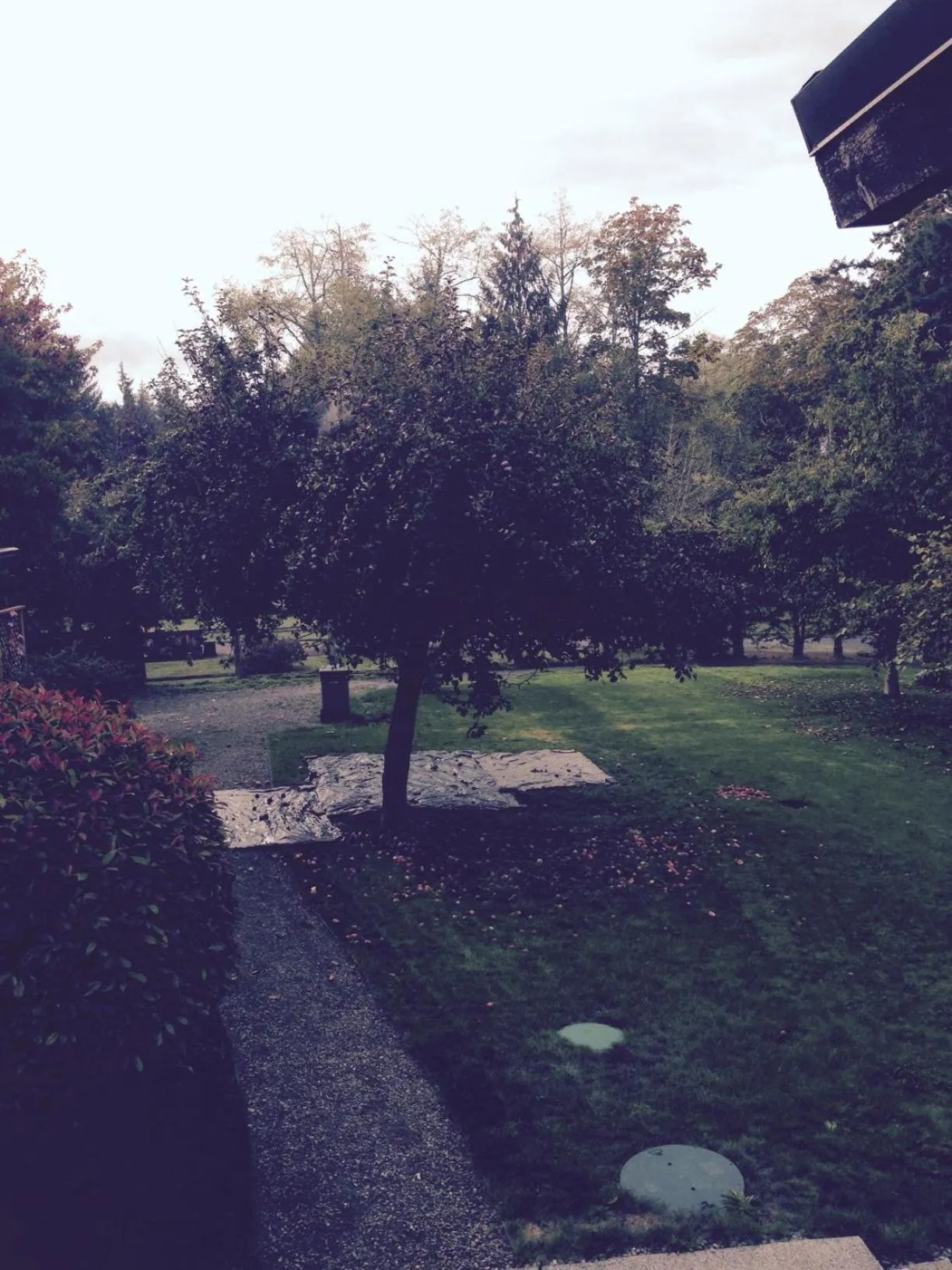 Coles Bay Vacation Retreat