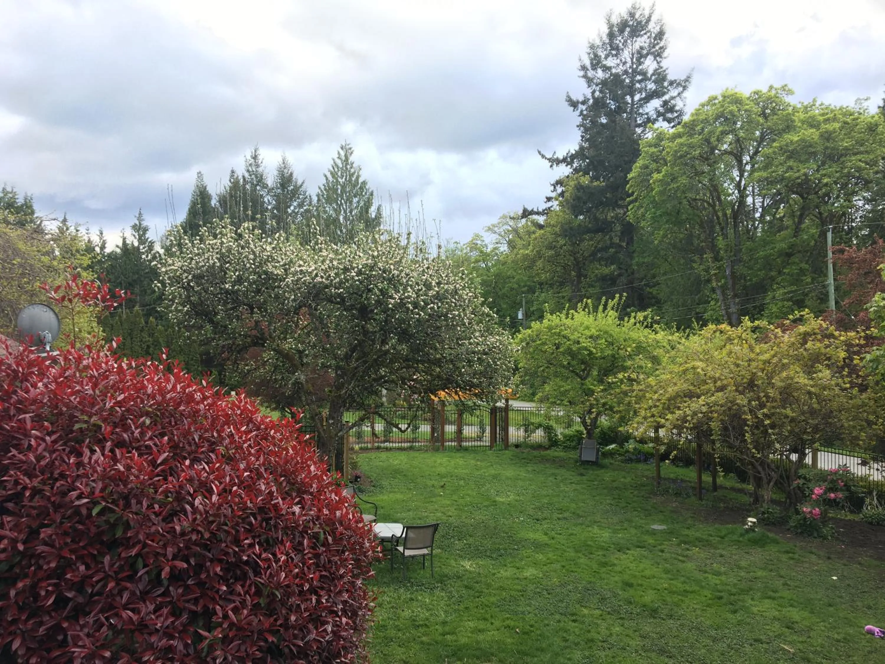 Garden in Coles Bay Vacation Retreat