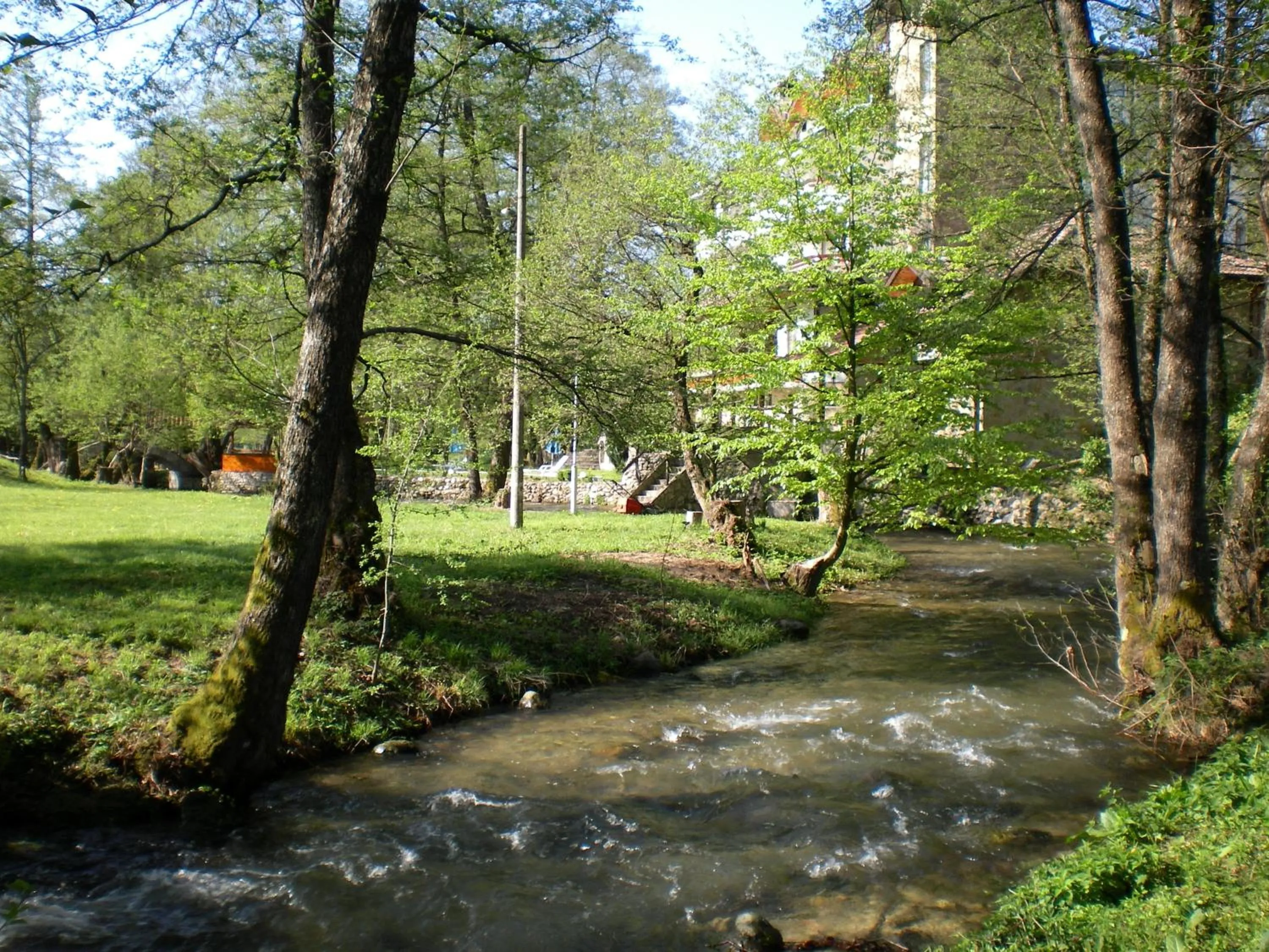 Garden in Hotel Paradise Place