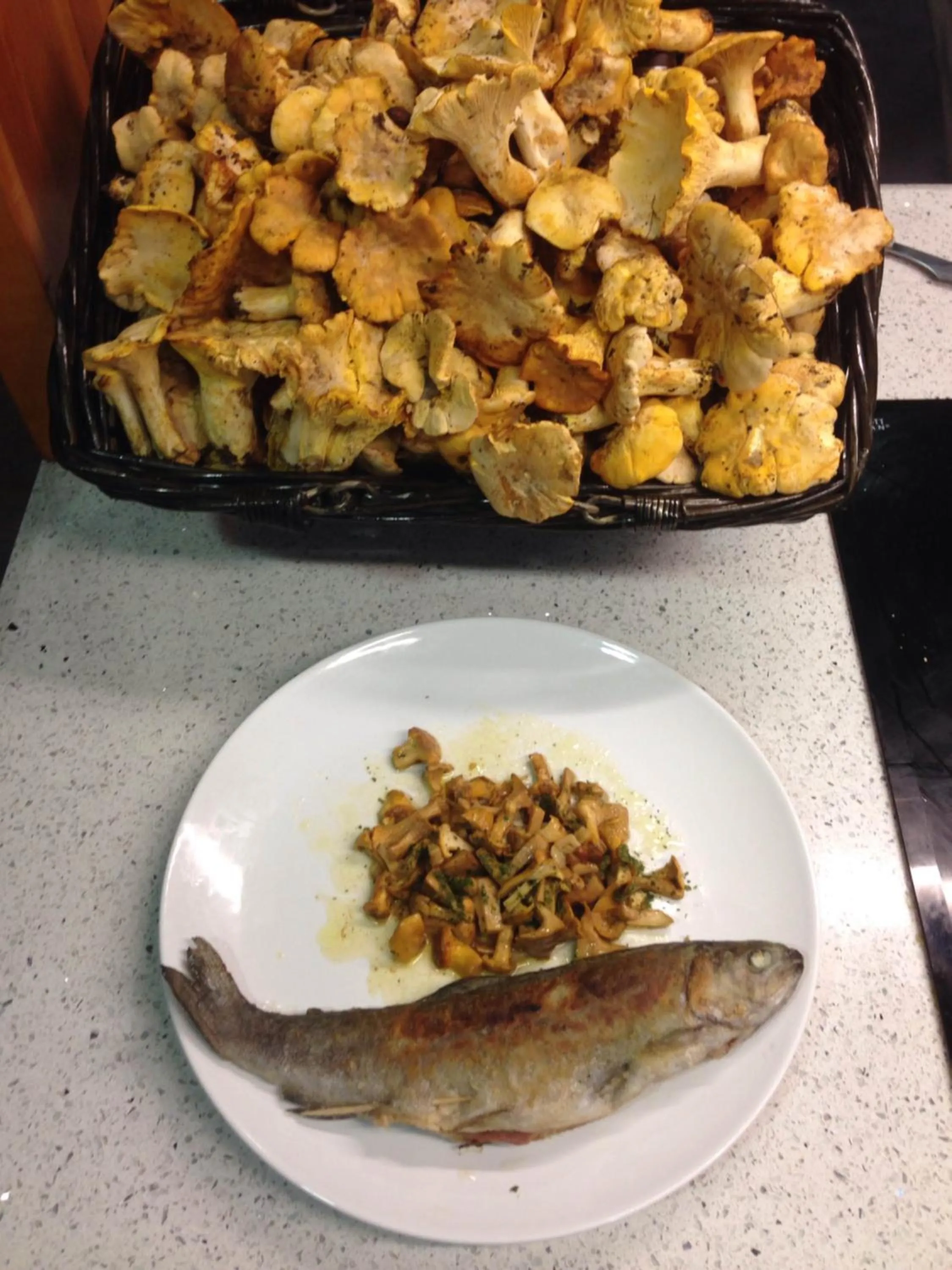 Property building in Can Congost