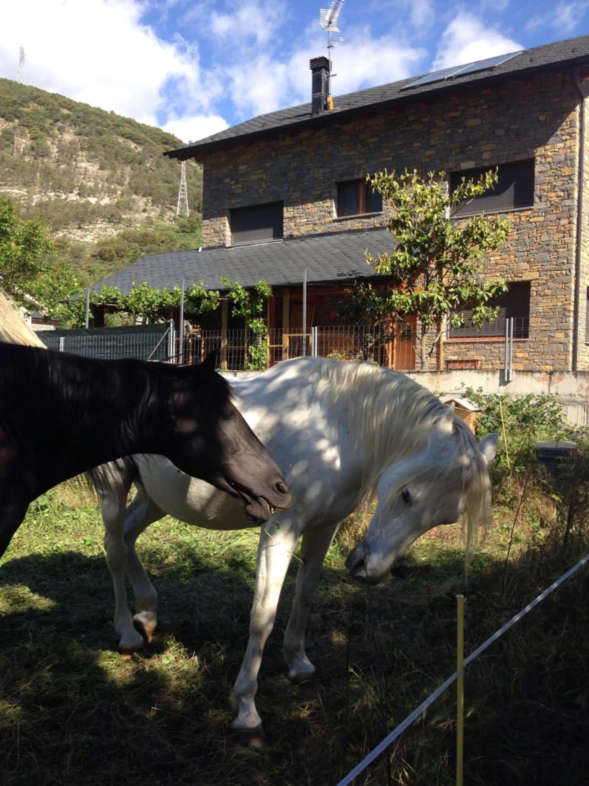 Property building in Can Congost