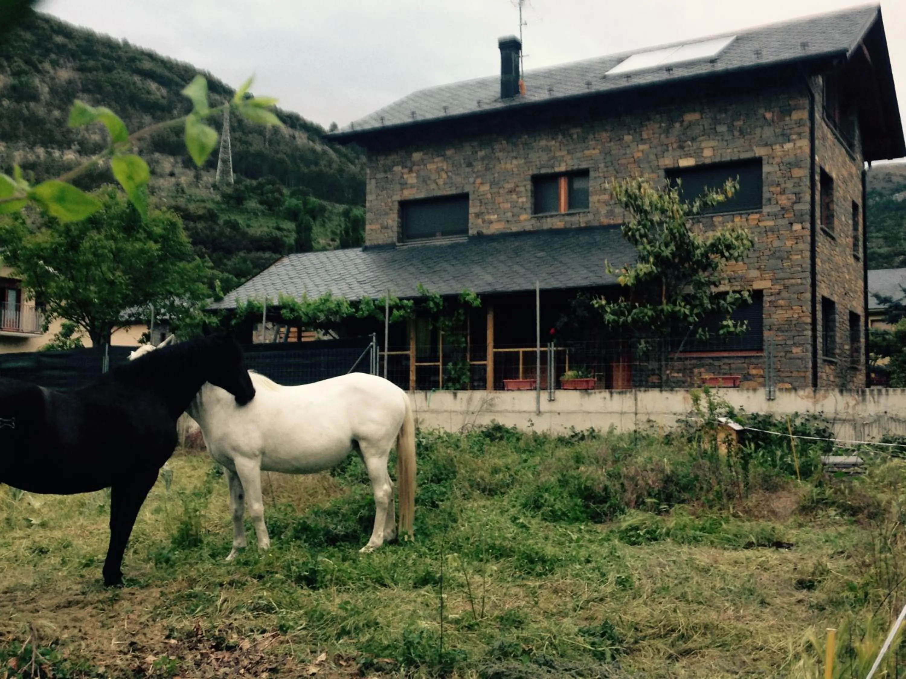 Property building in Can Congost