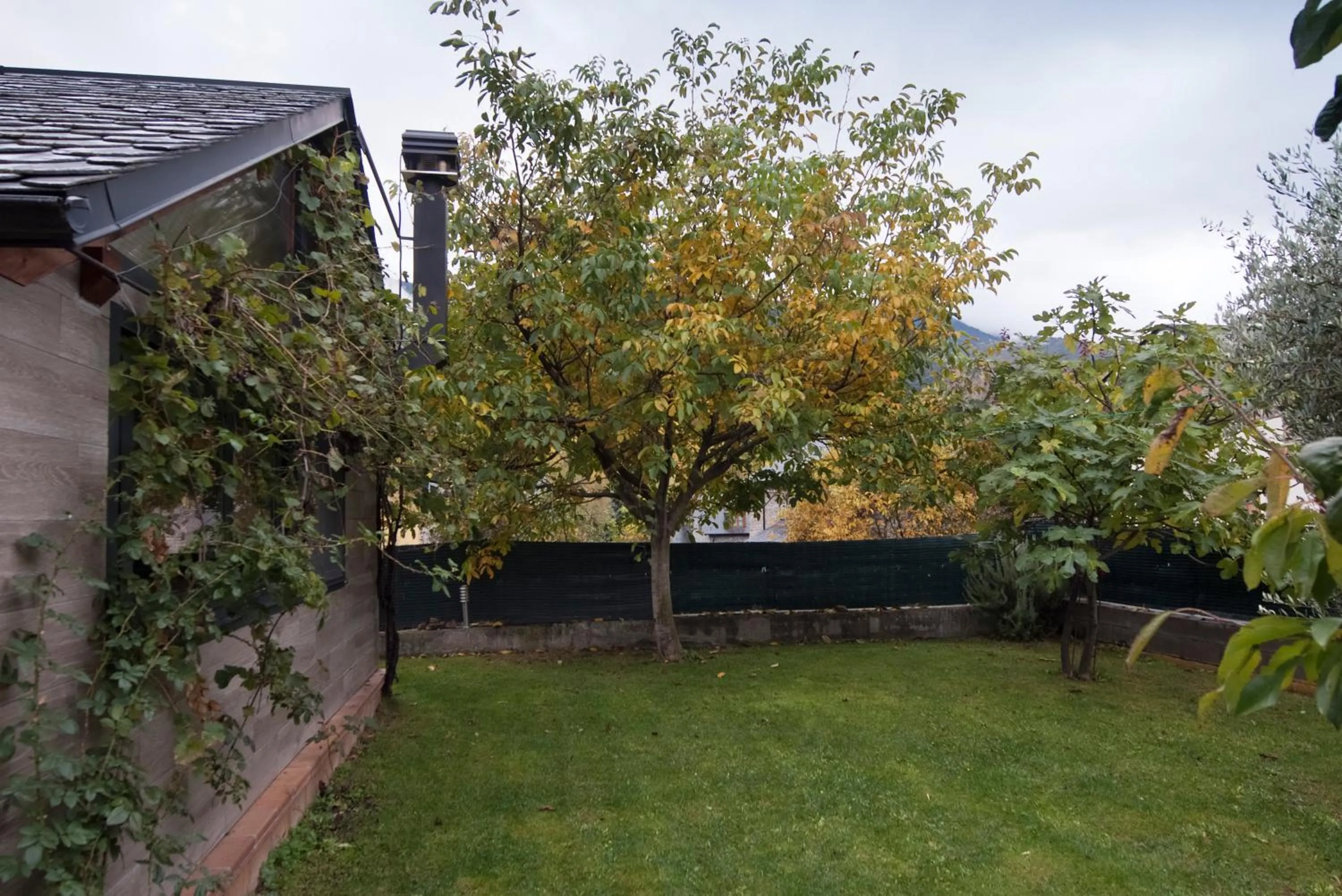 Garden in Can Congost