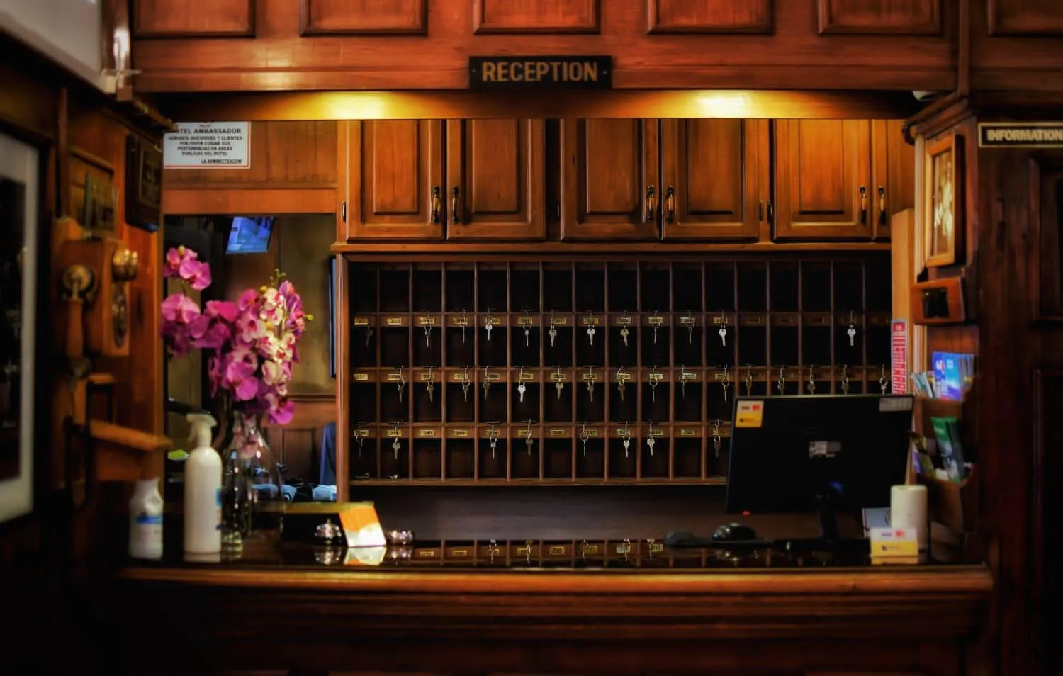 Property building in Hotel Ambassador