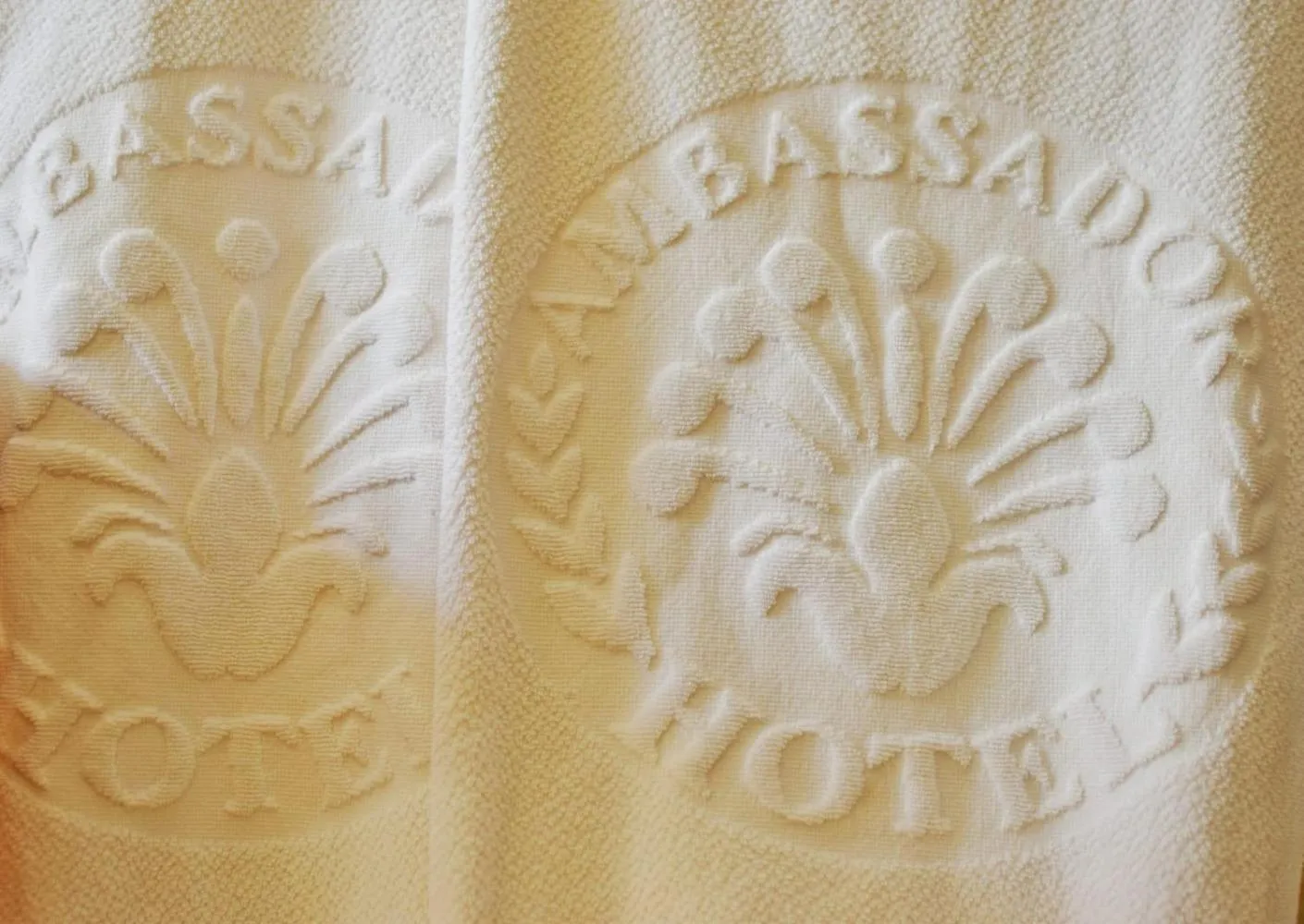 Property logo or sign in Hotel Ambassador