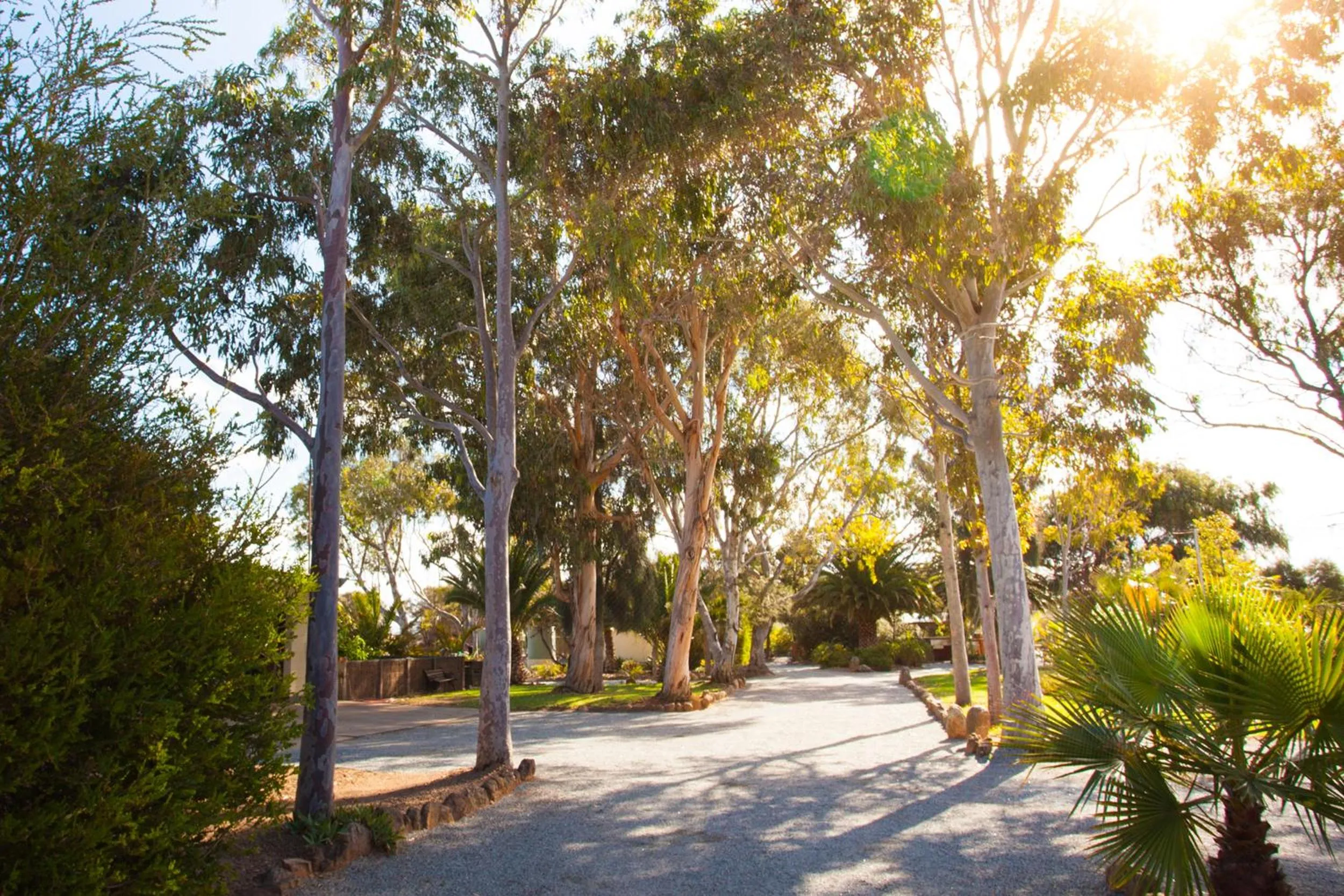 Garden view in Modra's Apartments