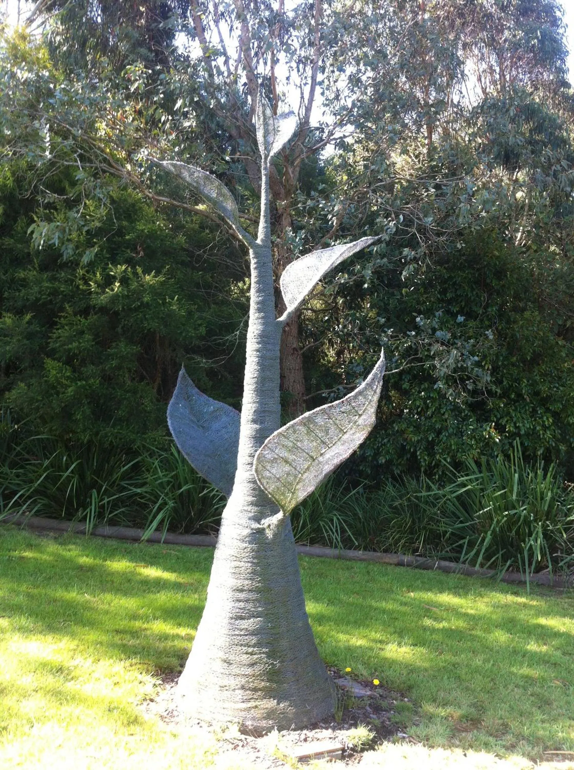 Garden in Llarrinda Bed & Breakfast