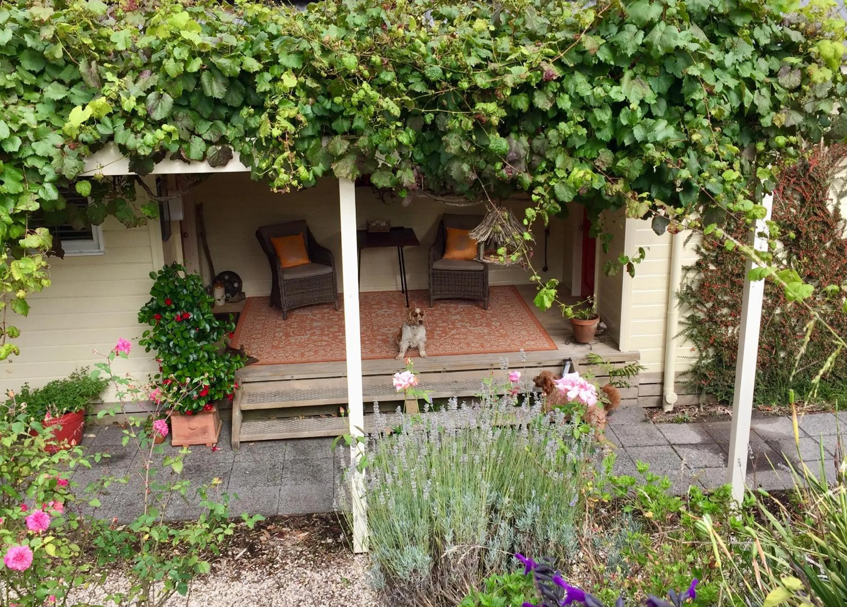 Patio in Llarrinda Bed & Breakfast