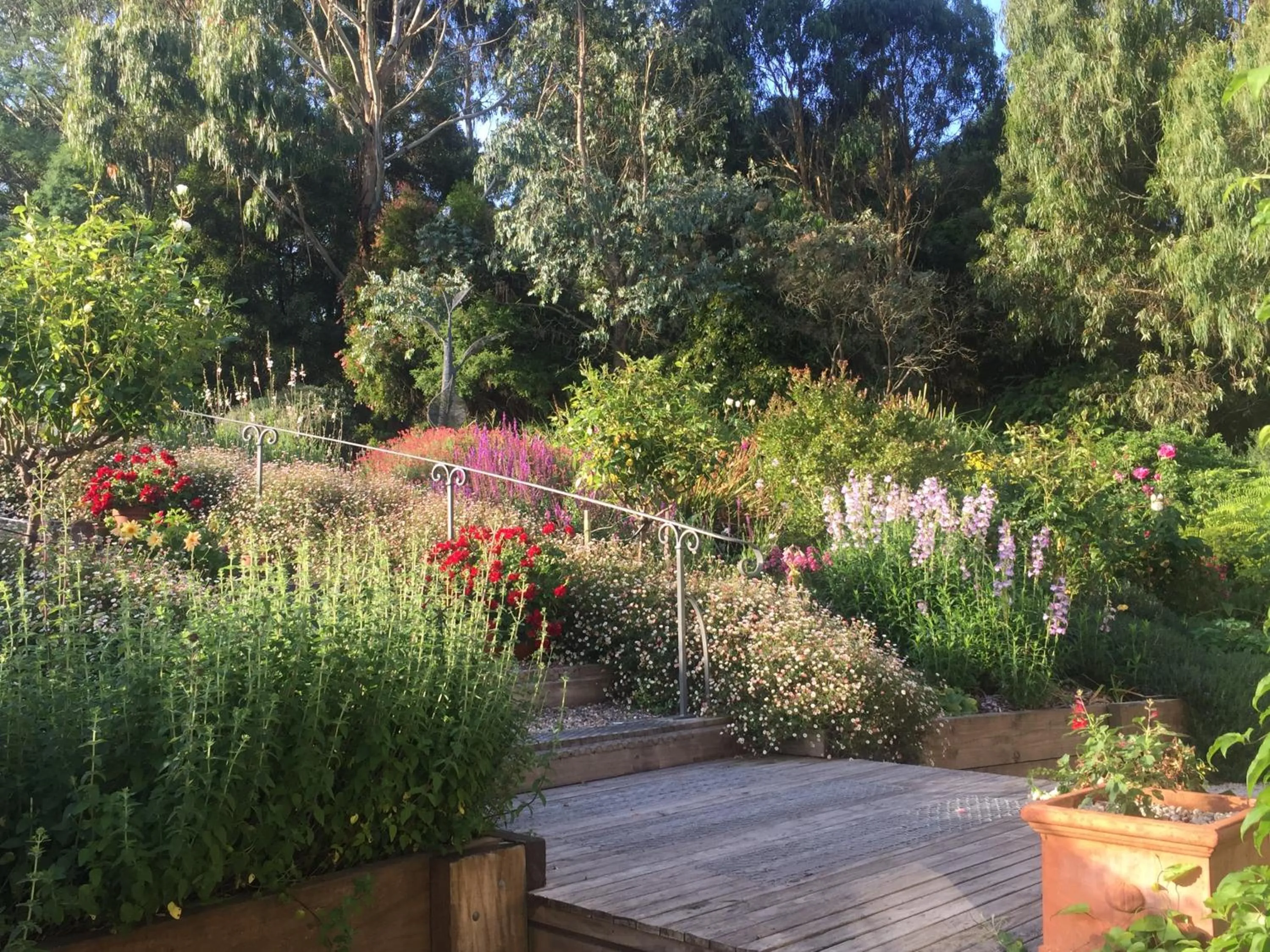 Garden in Llarrinda Bed & Breakfast