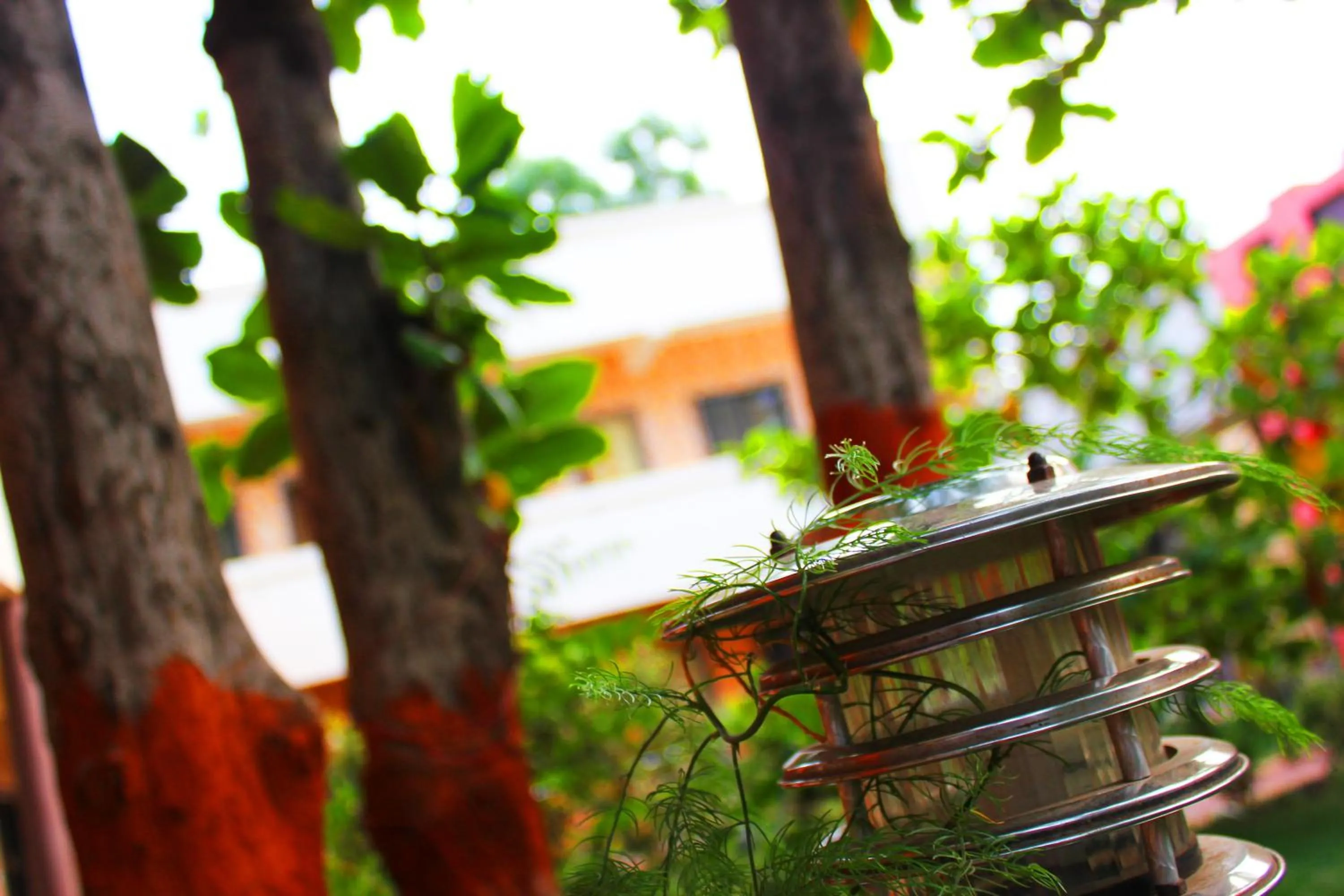 View (from property/room) in Sai Atithi Resort