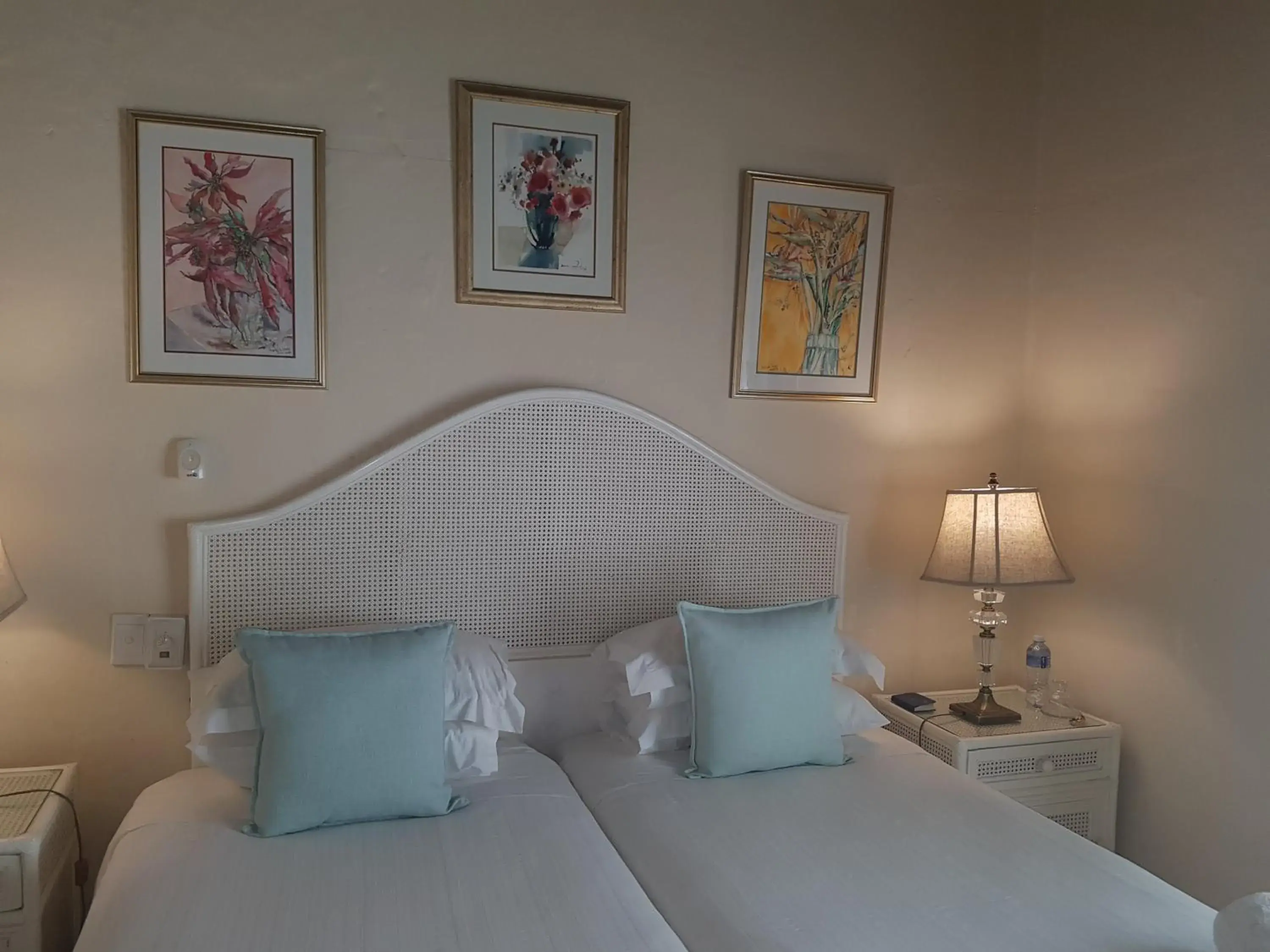 Large Twin Room - single occupancy in Steytlerville Villa Guest house Large Twin Room - single occupancy in Steytlerville Villa Guest house