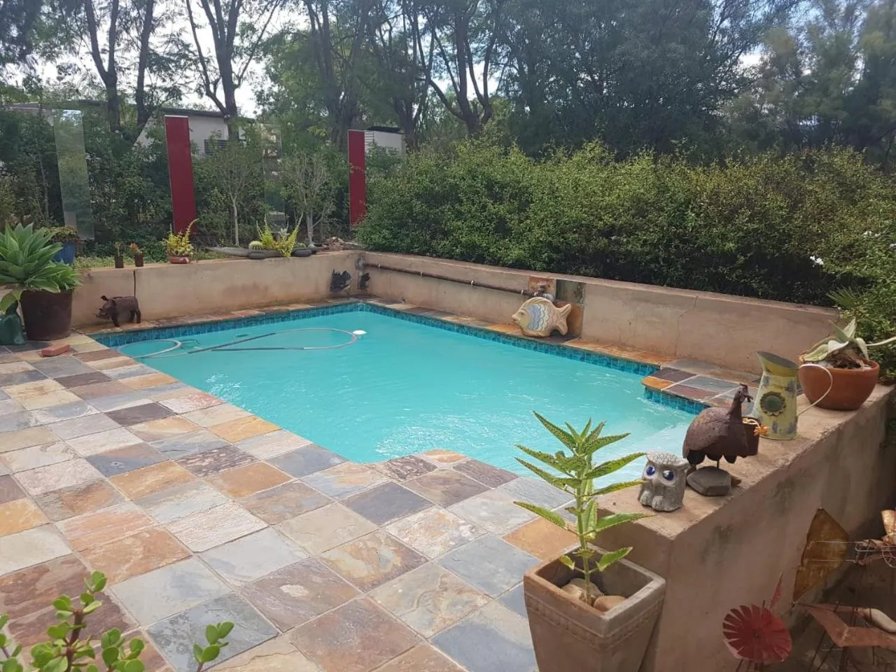 Swimming pool in Steytlerville Villa Guest house