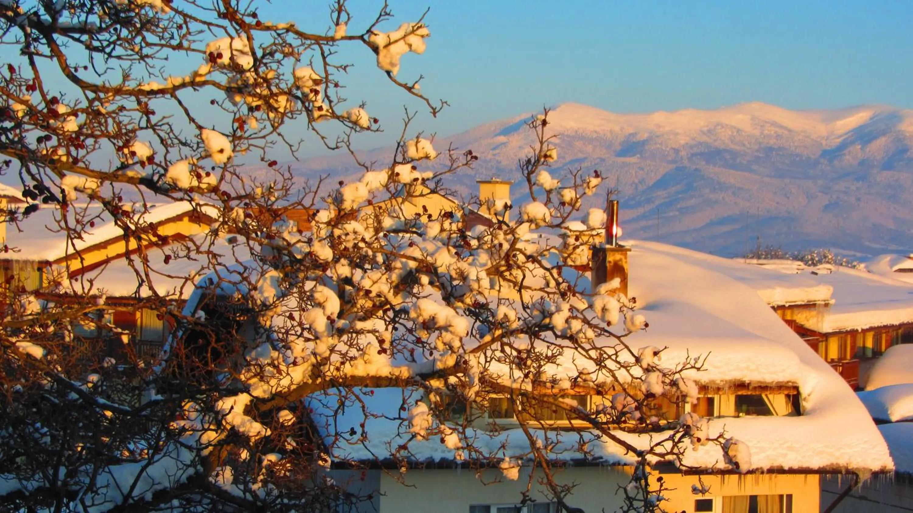 View (from property/room) in Family Hotel Santo Bansko