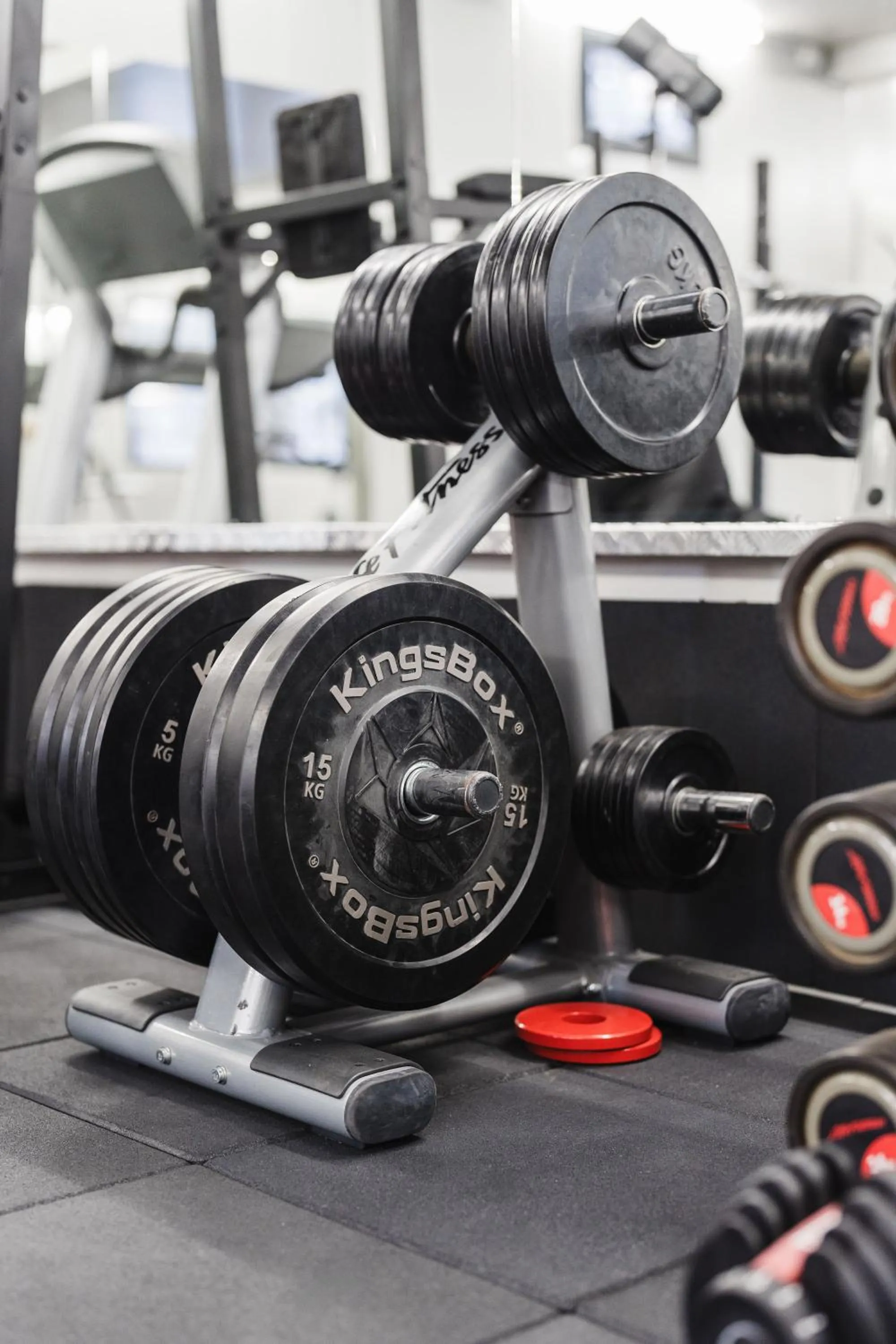 Fitness centre/facilities in Villas Jagoda & Malina