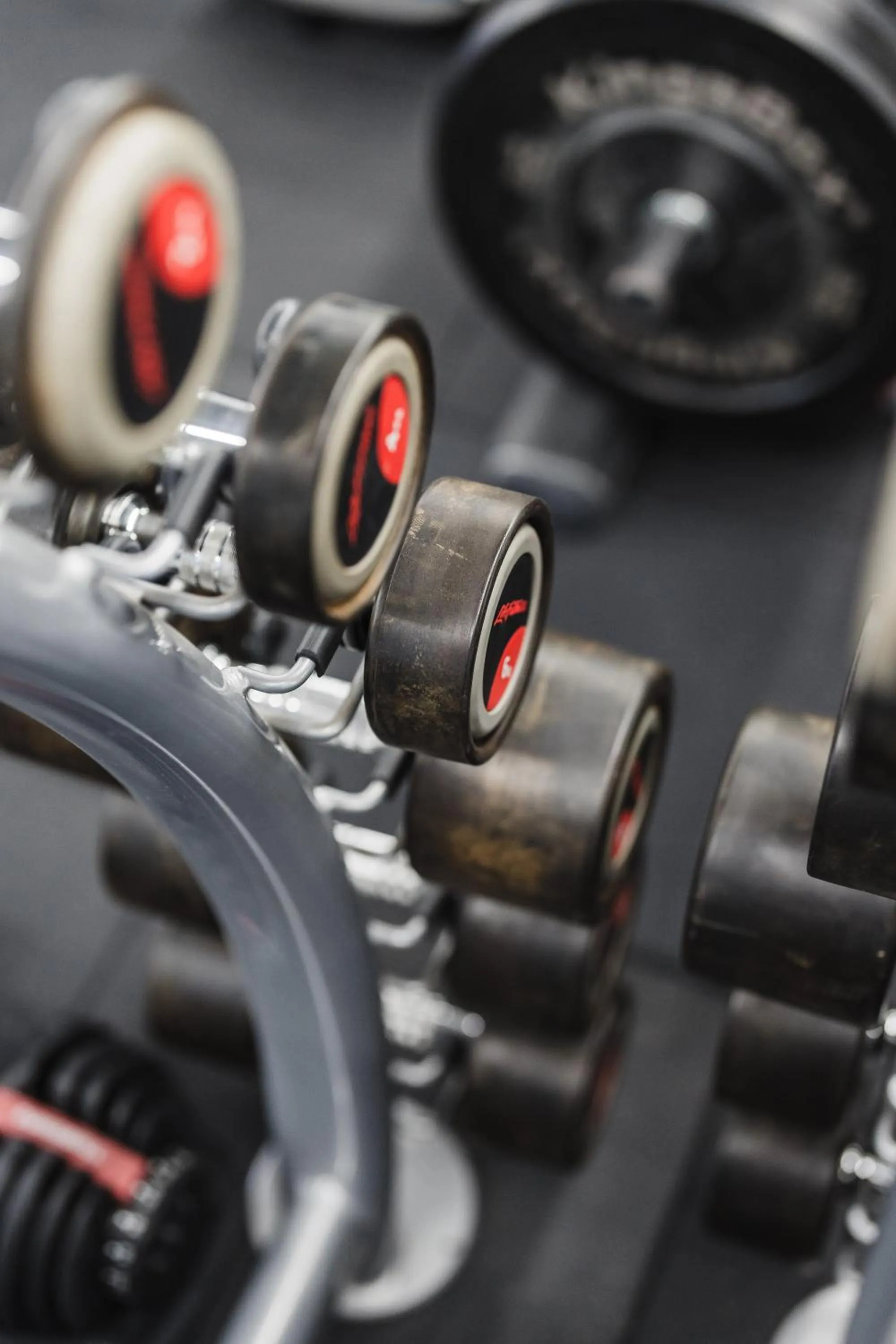 Fitness centre/facilities in Villas Jagoda & Malina