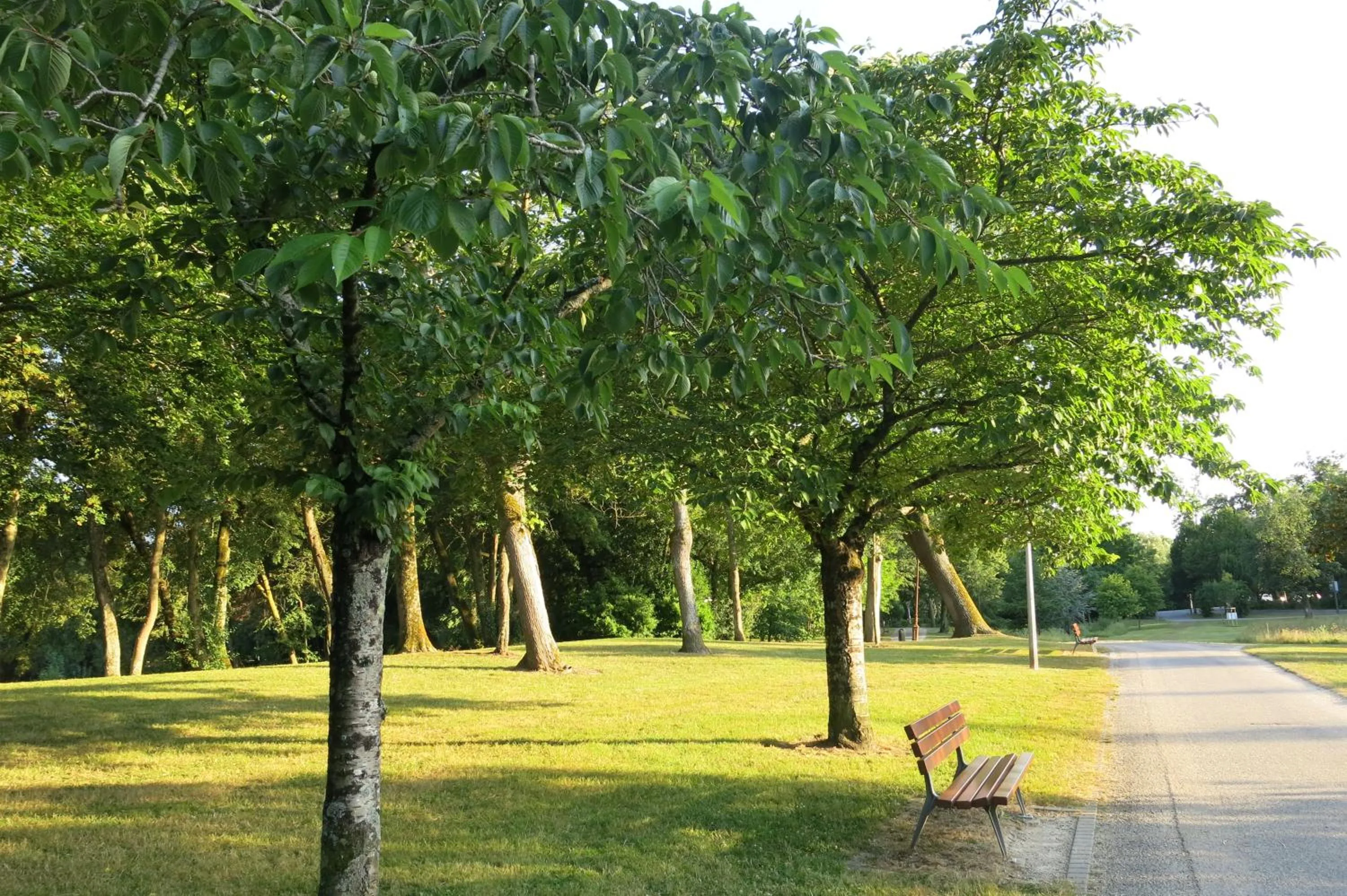 Natural landscape in Villa Verde La Rochelle