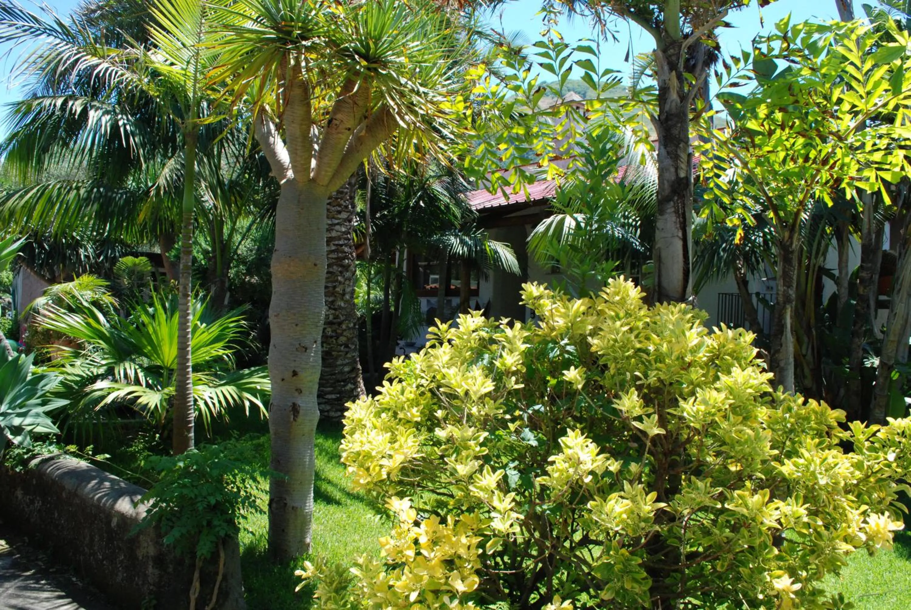 Garden in Residence Villa Cristina