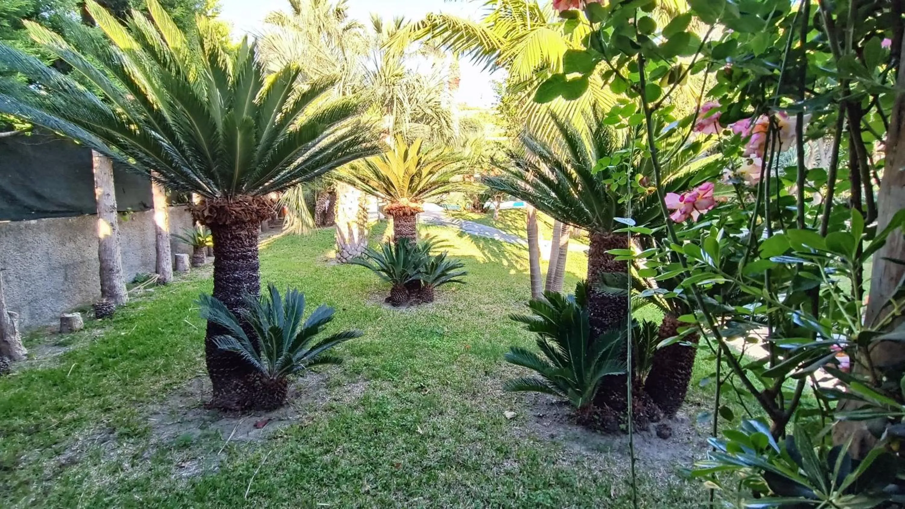 Garden in Residence Villa Cristina